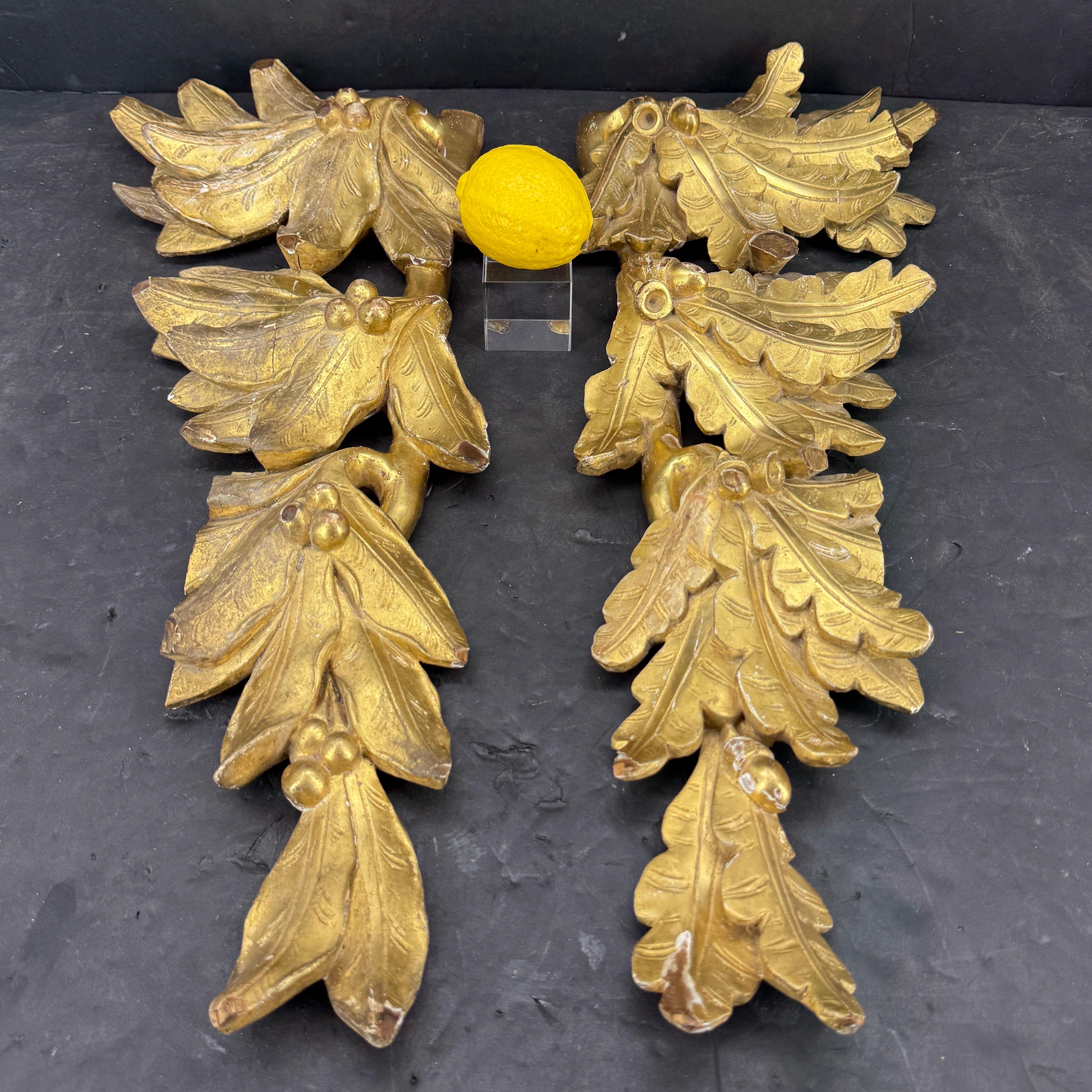 Rococo 18th Century Pair of Gilt Wood Wall Fragments Sculptures with Leaves and Acorns en vente