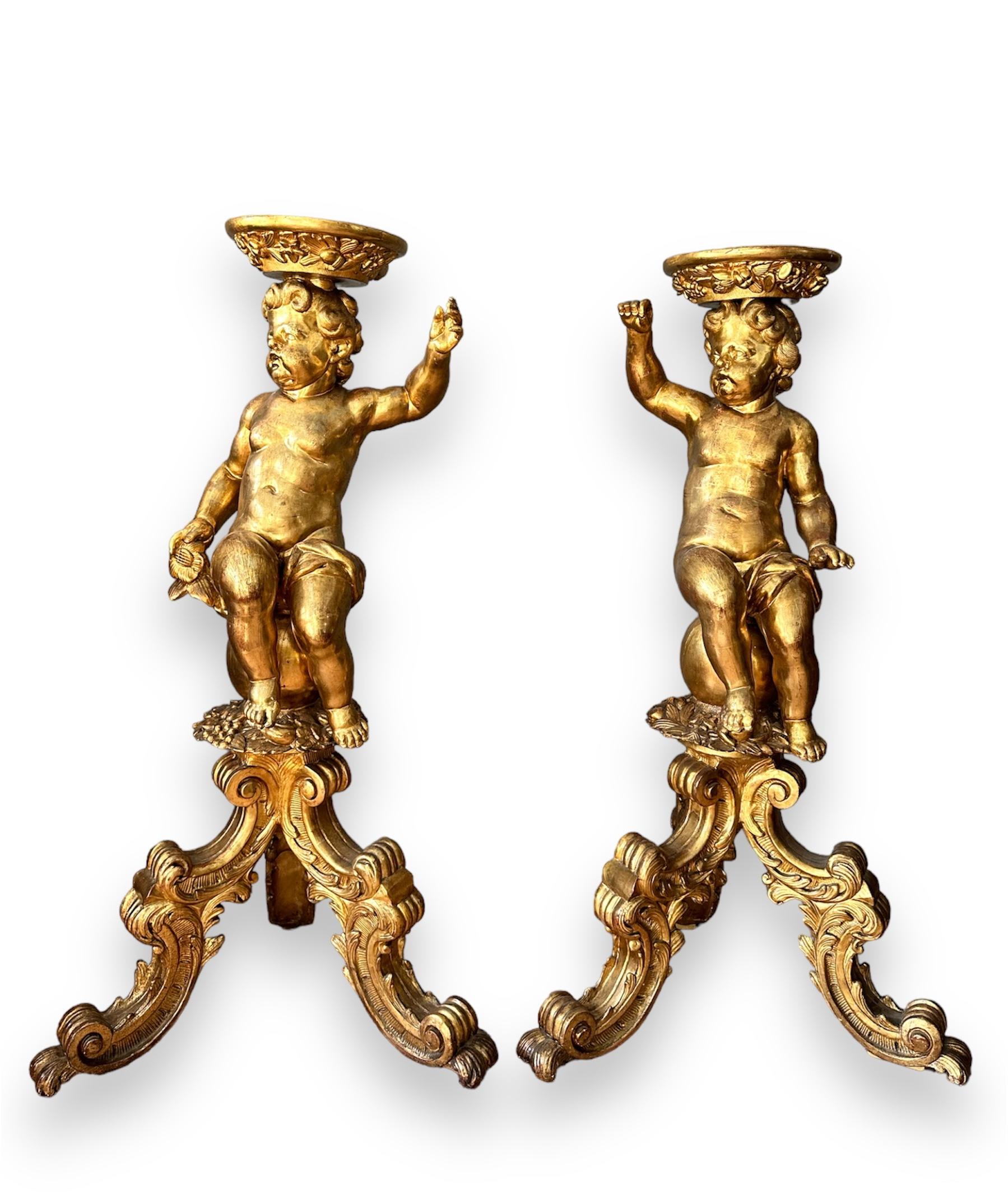 Elegant and rare pair of wooden sculptures depicting Putti, left and right.

Carved in an excellent way in every detail and gilded entirely with pure gold leaf.

Works of high Italian cabinet-making from the first half of the 1700s.