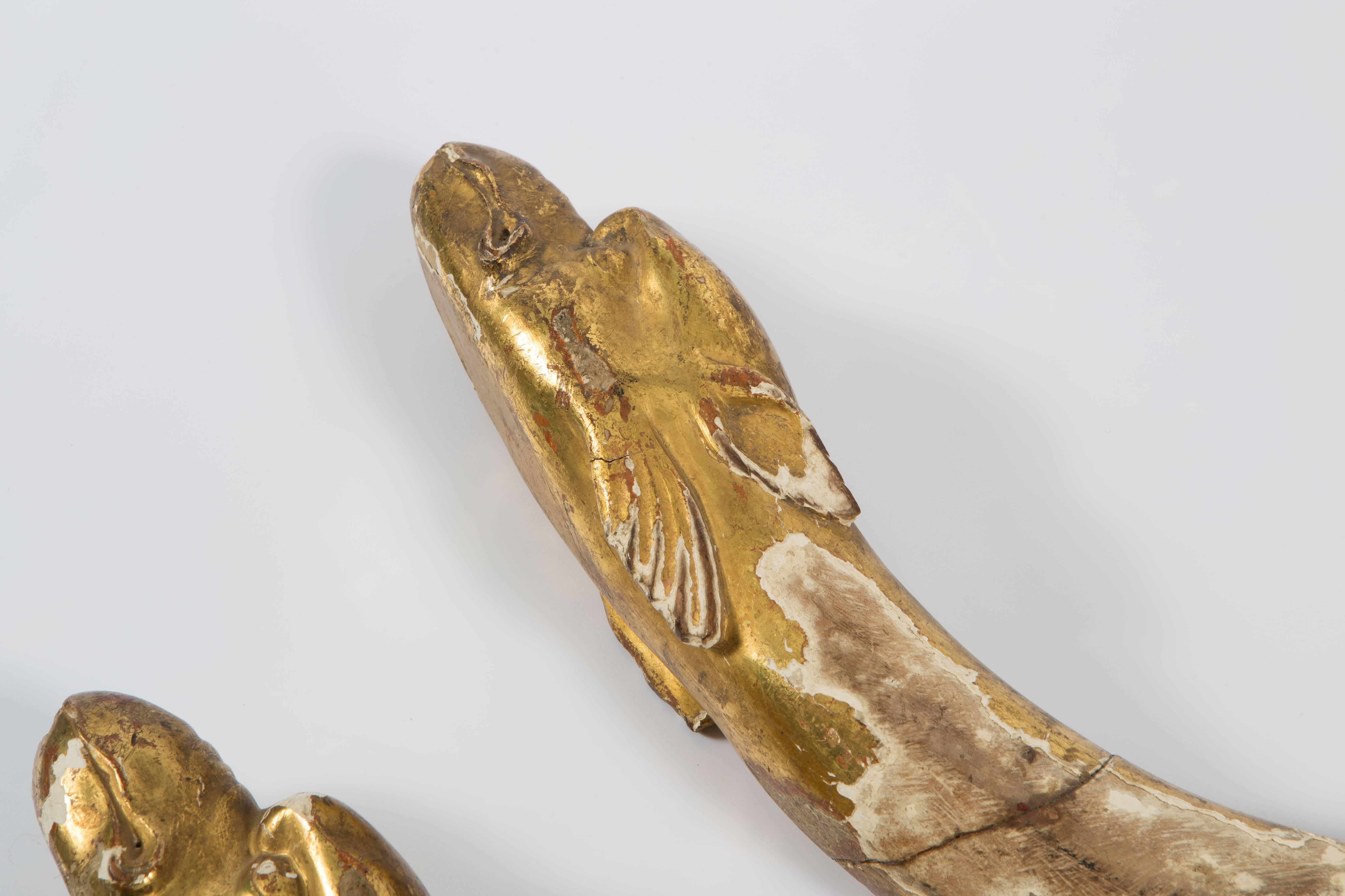 The is a pair of 18th century gold leaf dolphin shaped ornaments. They look interesting laying on a table for decoration or could be fixed for tiebacks for draperies.