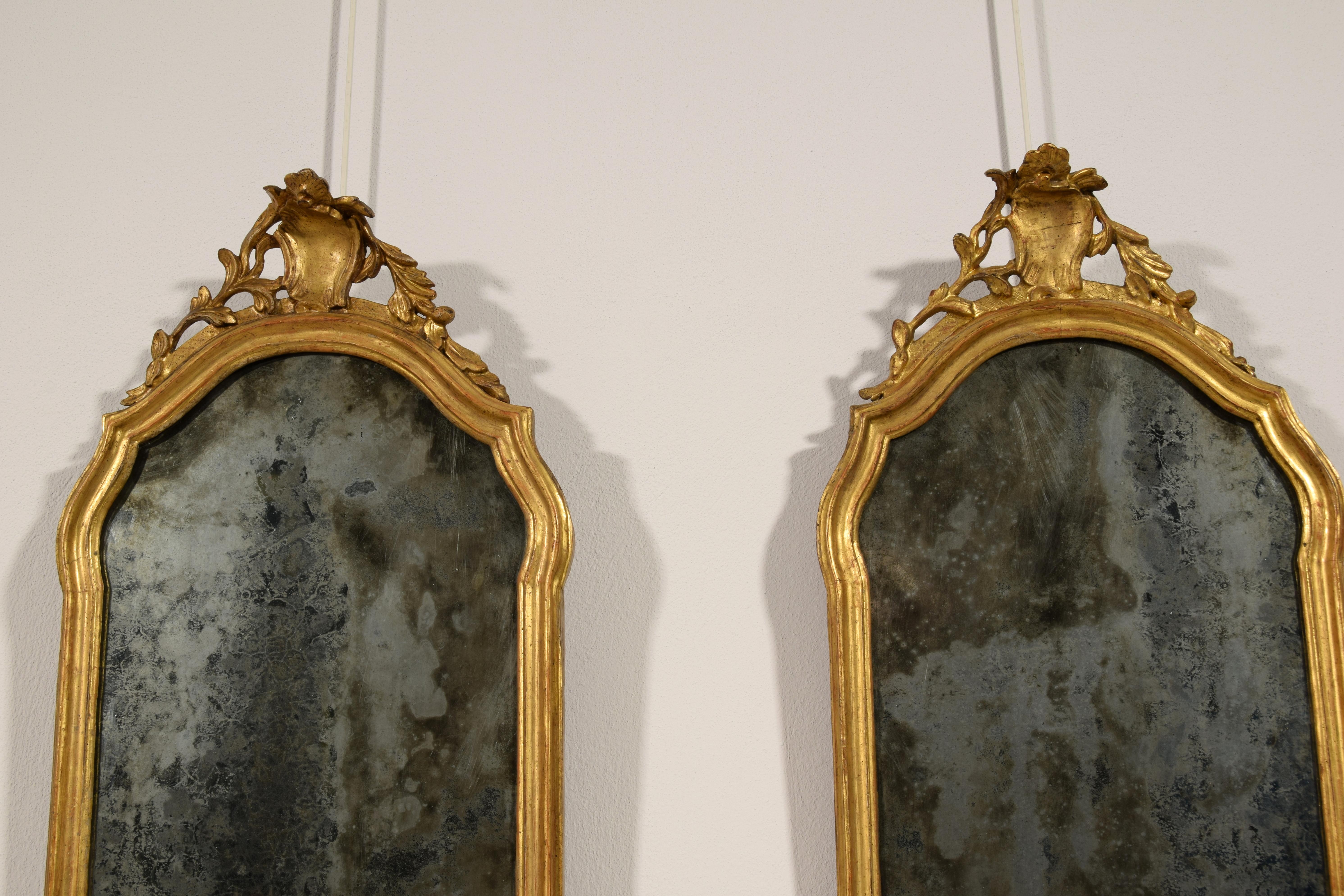 18th Century, Pair of Italian Carved and Giltwood Mirrors 4