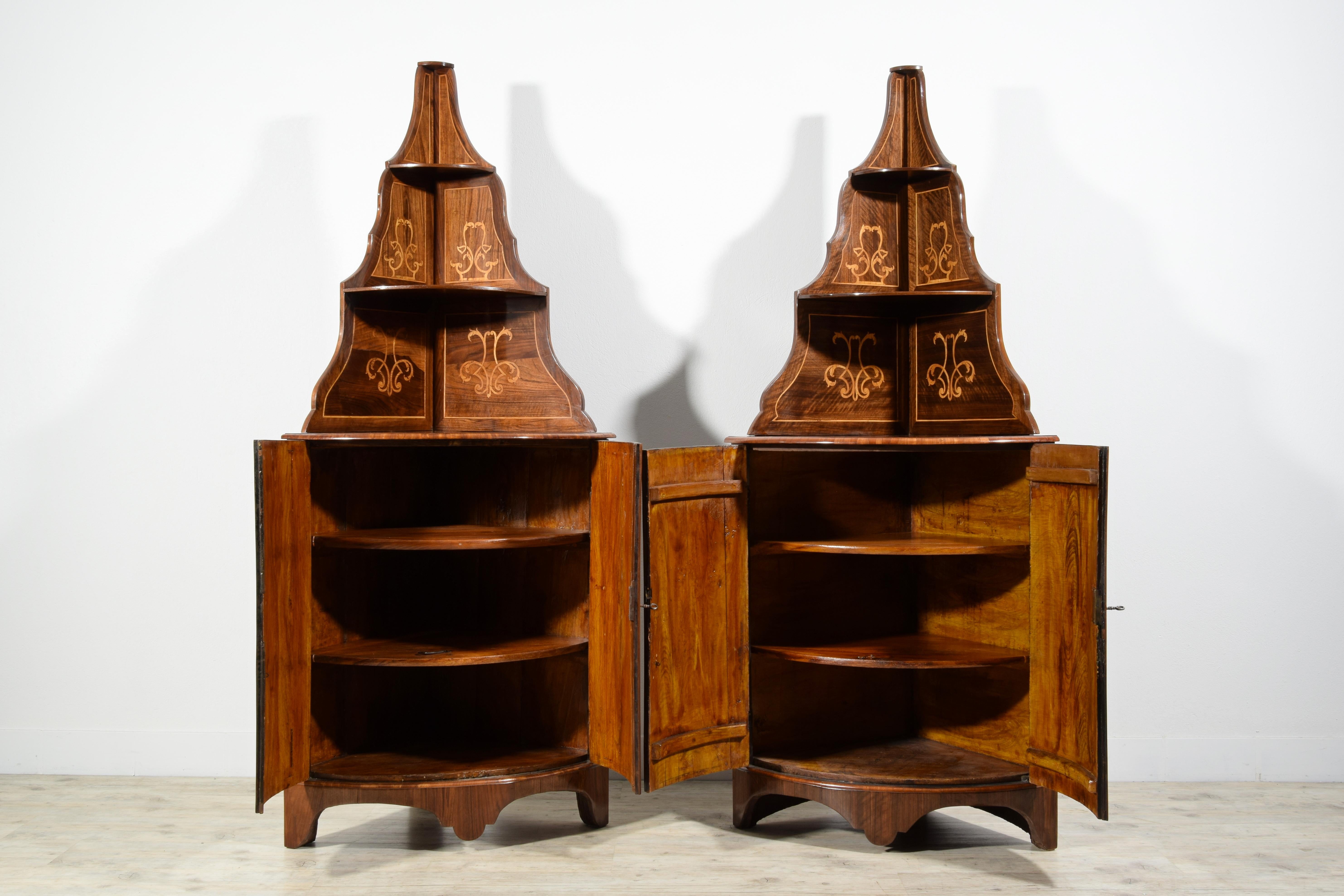 18th Century, Pair of Italian Inlay Wood Corner Cabinets For Sale 7