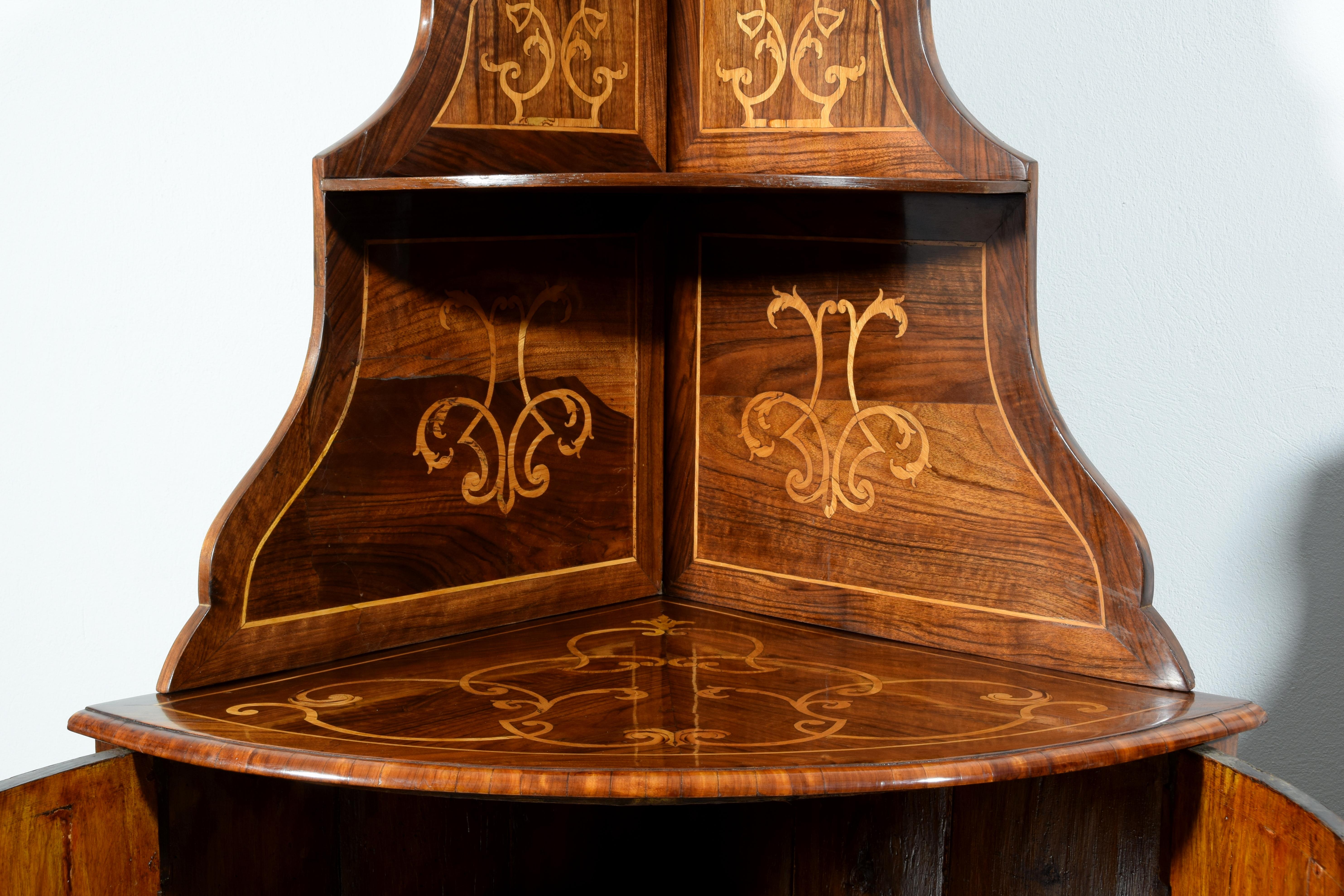 18th Century, Pair of Italian Inlay Wood Corner Cabinets For Sale 13