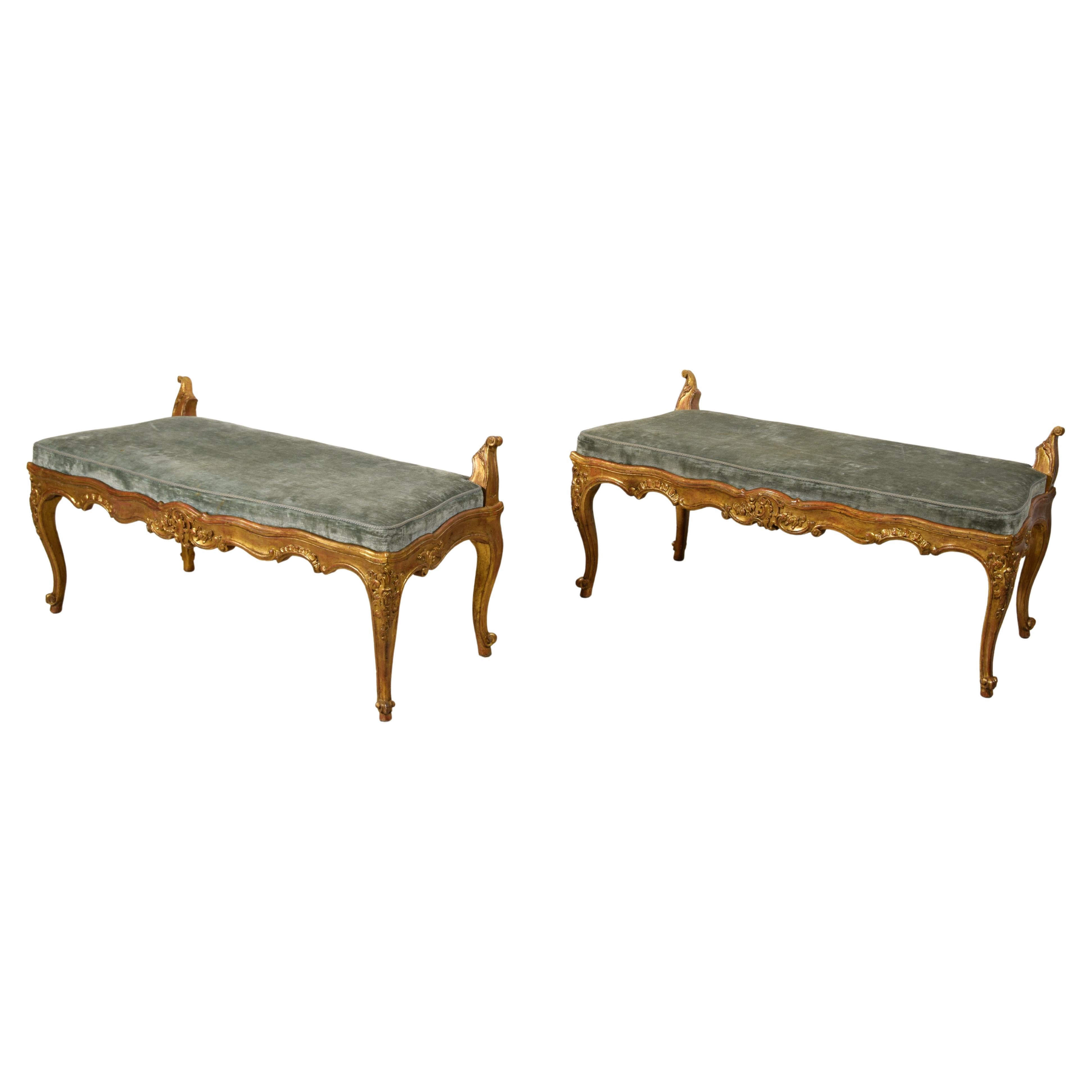 18th Century, Pair of Italian Rococò Carved Giltwood Benches  For Sale