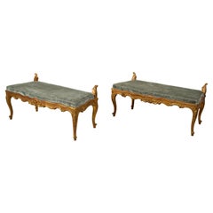 18th Century, Pair of Italian Rococò Carved Giltwood Benches 