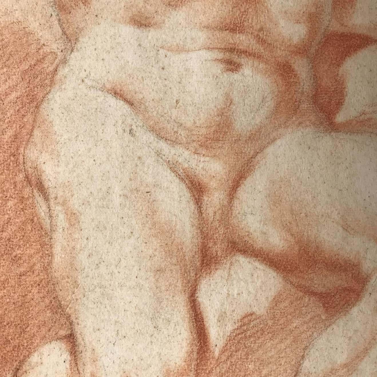 18th Century Pair of Italian Nude Men Drawings after Procaccini  For Sale 2