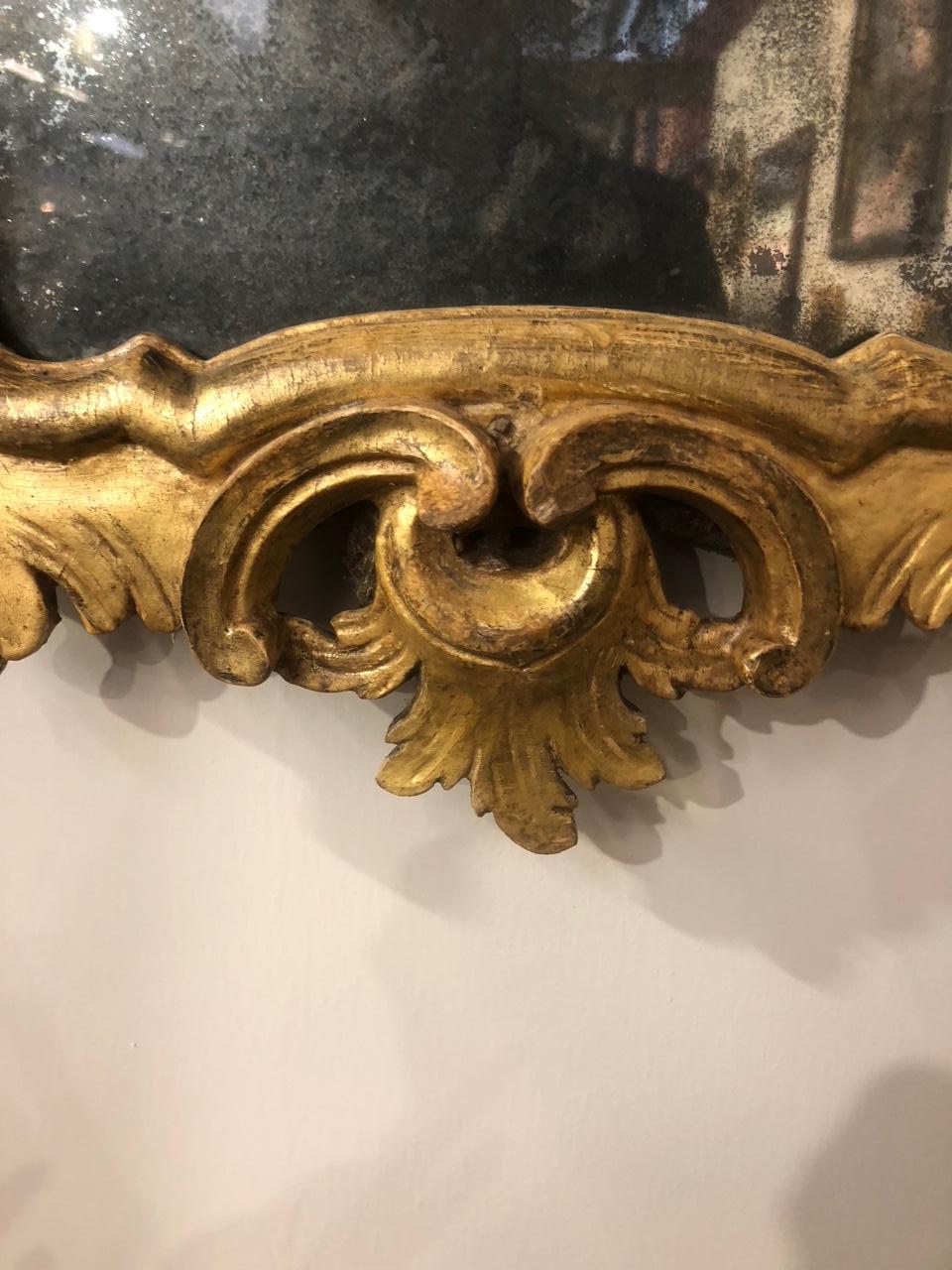 18th Century Pair of Louis XV Mirrors, Venice 2