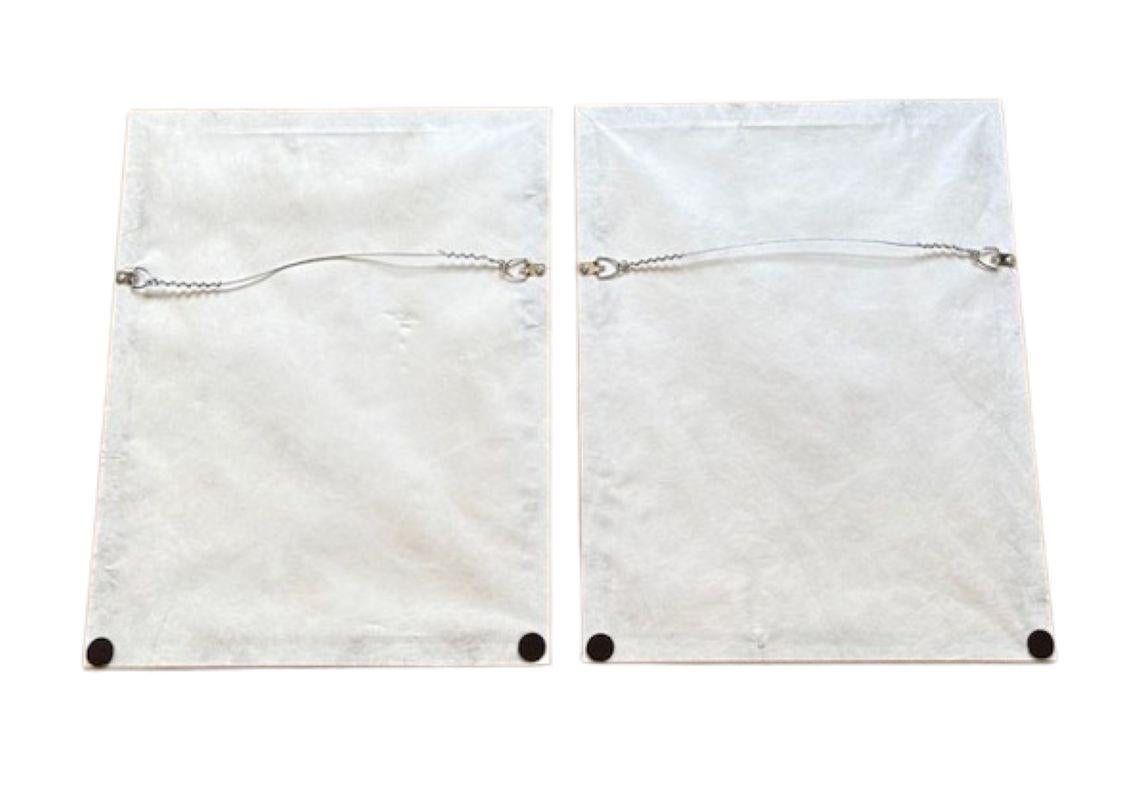 18th Century Pair of Sea Shell Prints by Lamarck en Bueno estado para la venta en Nantucket, MA