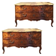 18th Century Pair of Venetian Chests of Drawers in Walnut Root