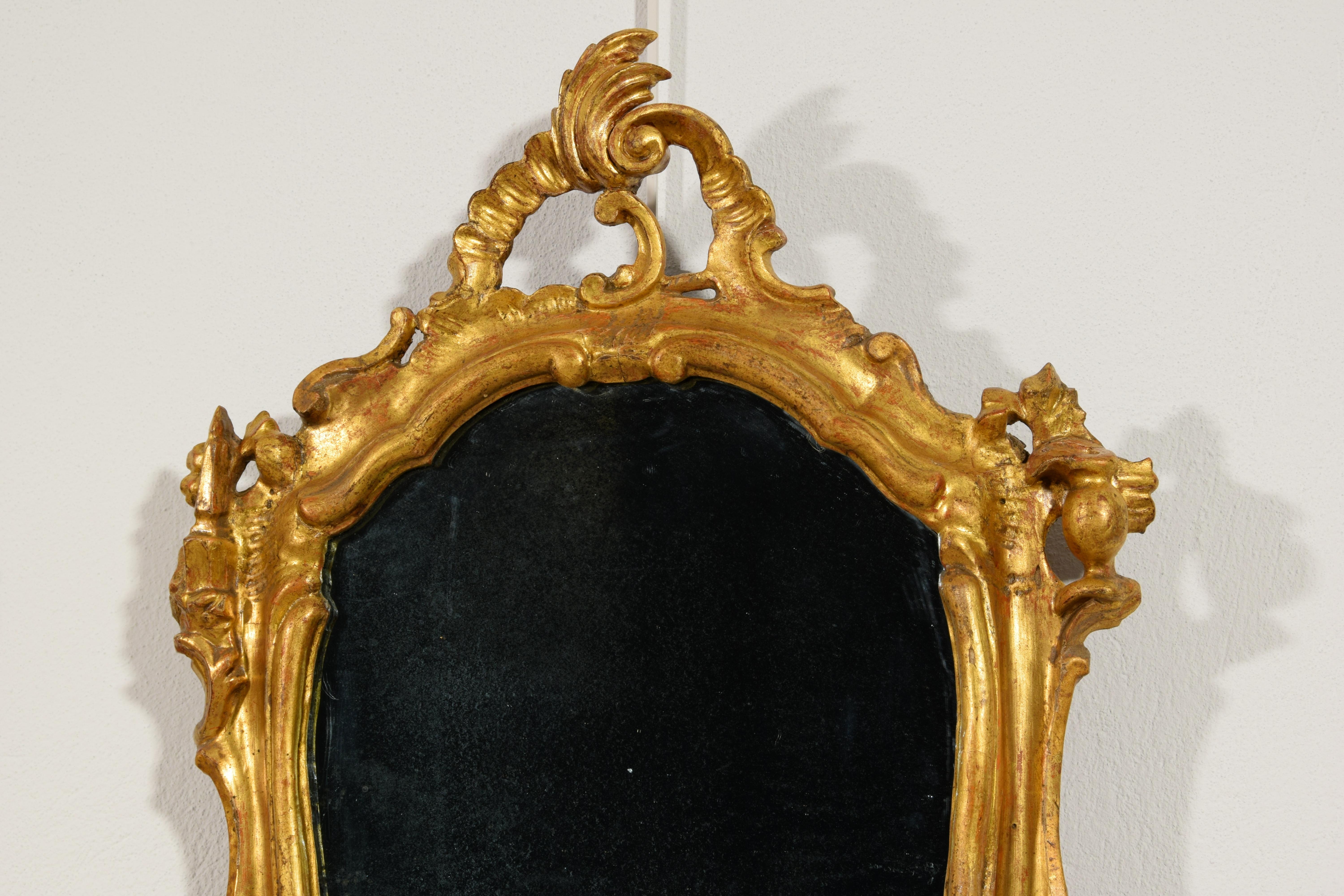 XVIIIe siècle, Paire de miroirs vénitiens Louis XV en bois sculpté et doré en vente 3