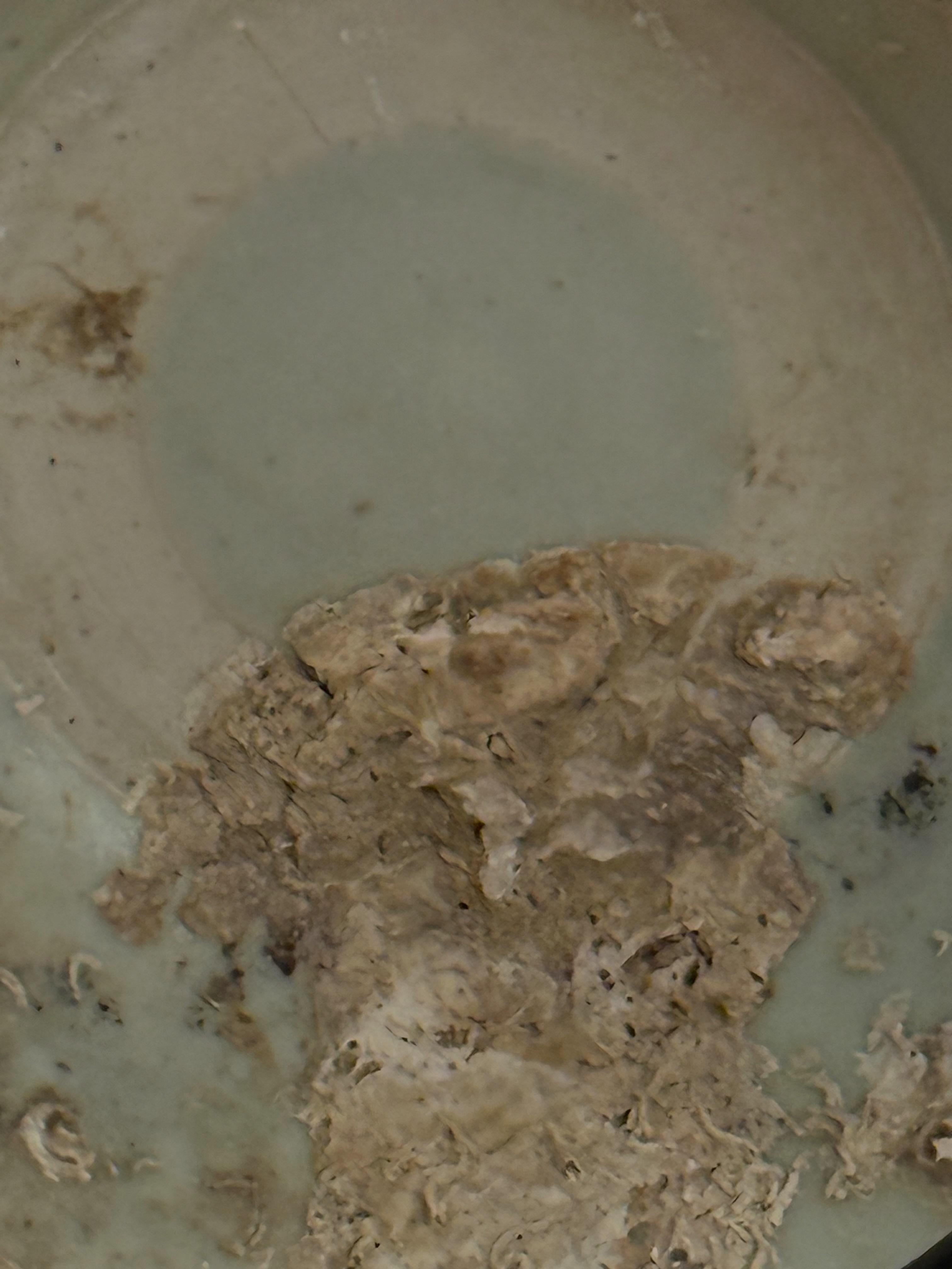 Bol vert pâle du 18e siècle provenant d'une épave de navire sur un support en métal, Chine Bon état - En vente à New York, NY