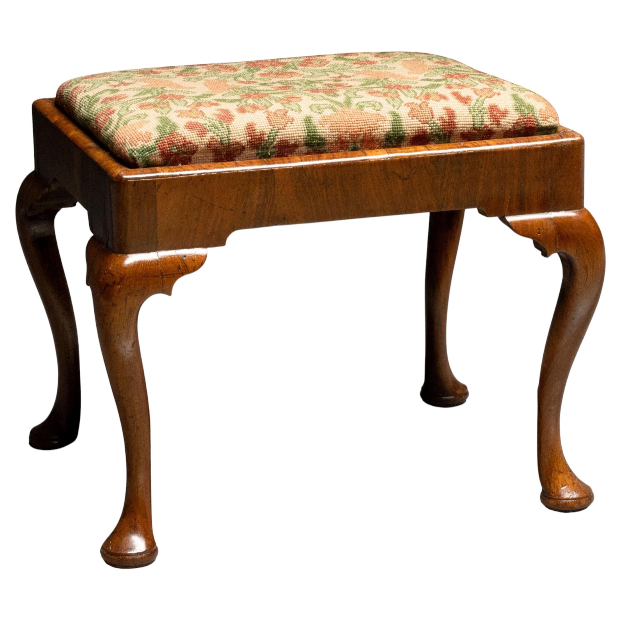 18th Century Queen Anne Mahogany Footstool with Needlepoint Seat