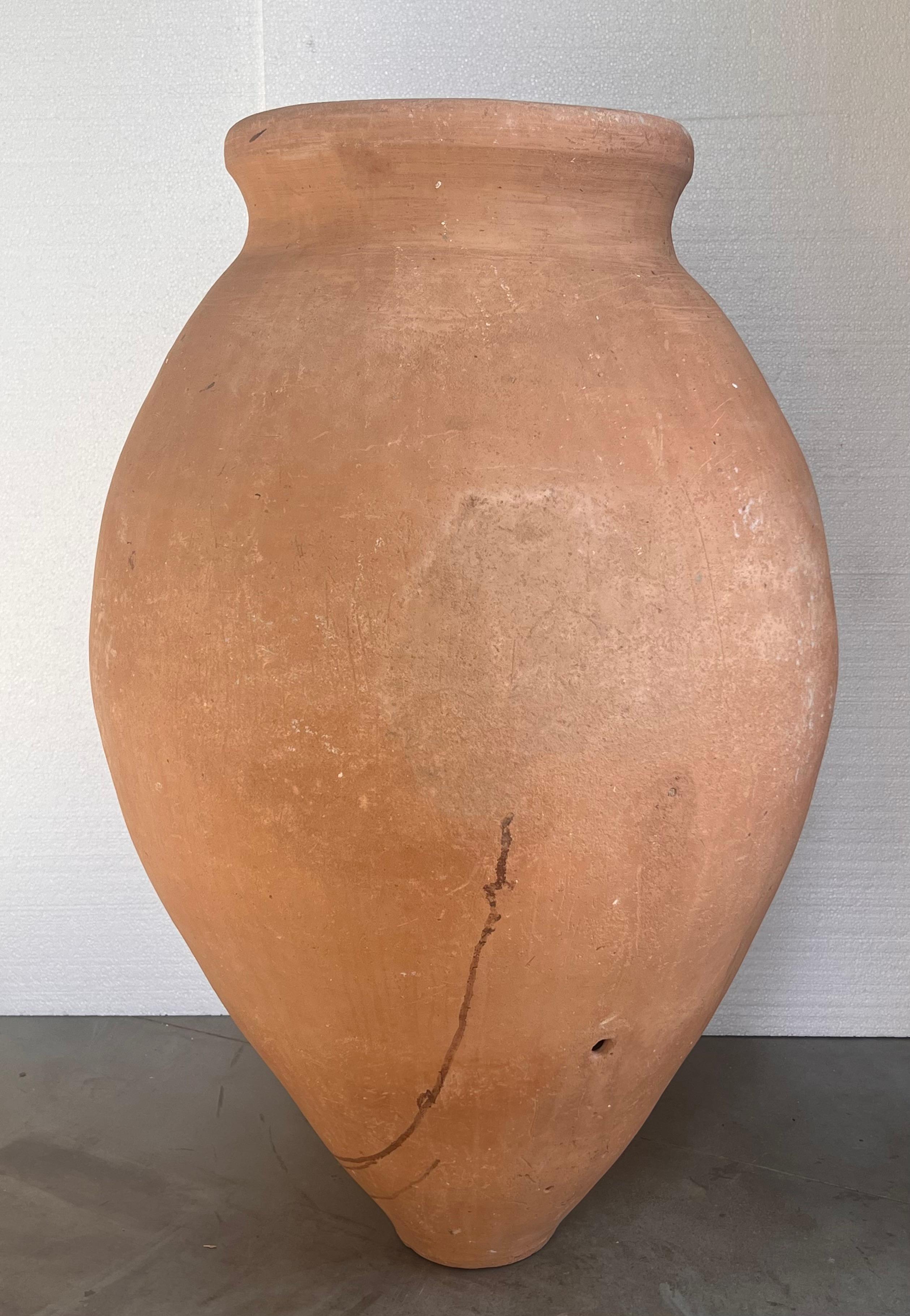 This fabulous handmade terracotta pot originated in the Provençal town of Biot and was used to store olive oil. In perfect condition, the photos show the pot in sunlight.
These pots make an elegant statement around a pool and are magnificent in a