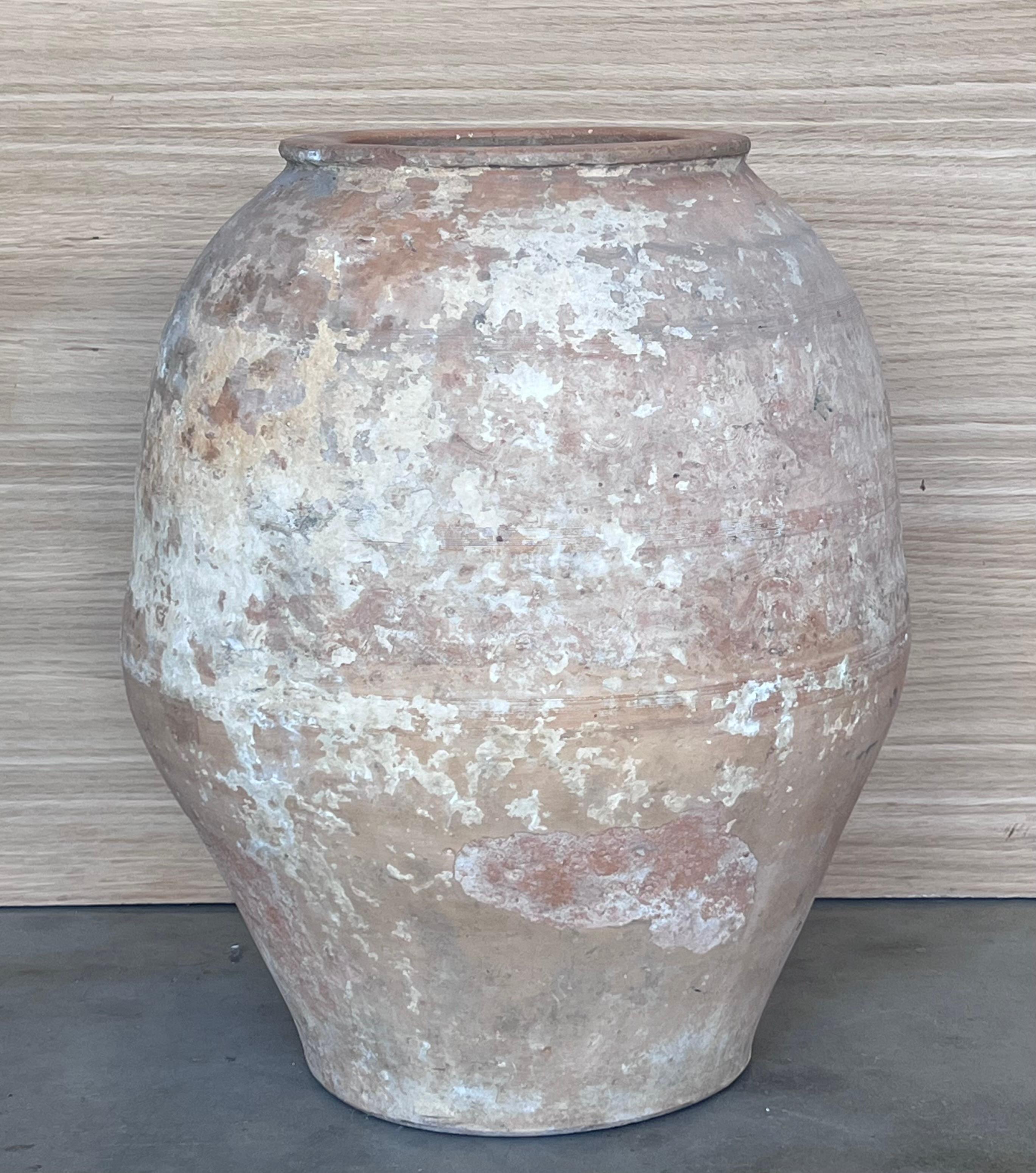 This fabulous handmade terracotta pot originated in the Provençal town of Biot and was used to store olive oil. In perfect condition, the photos show the pot in sunlight.
These pots make an elegant statement around a pool and are magnificent in a