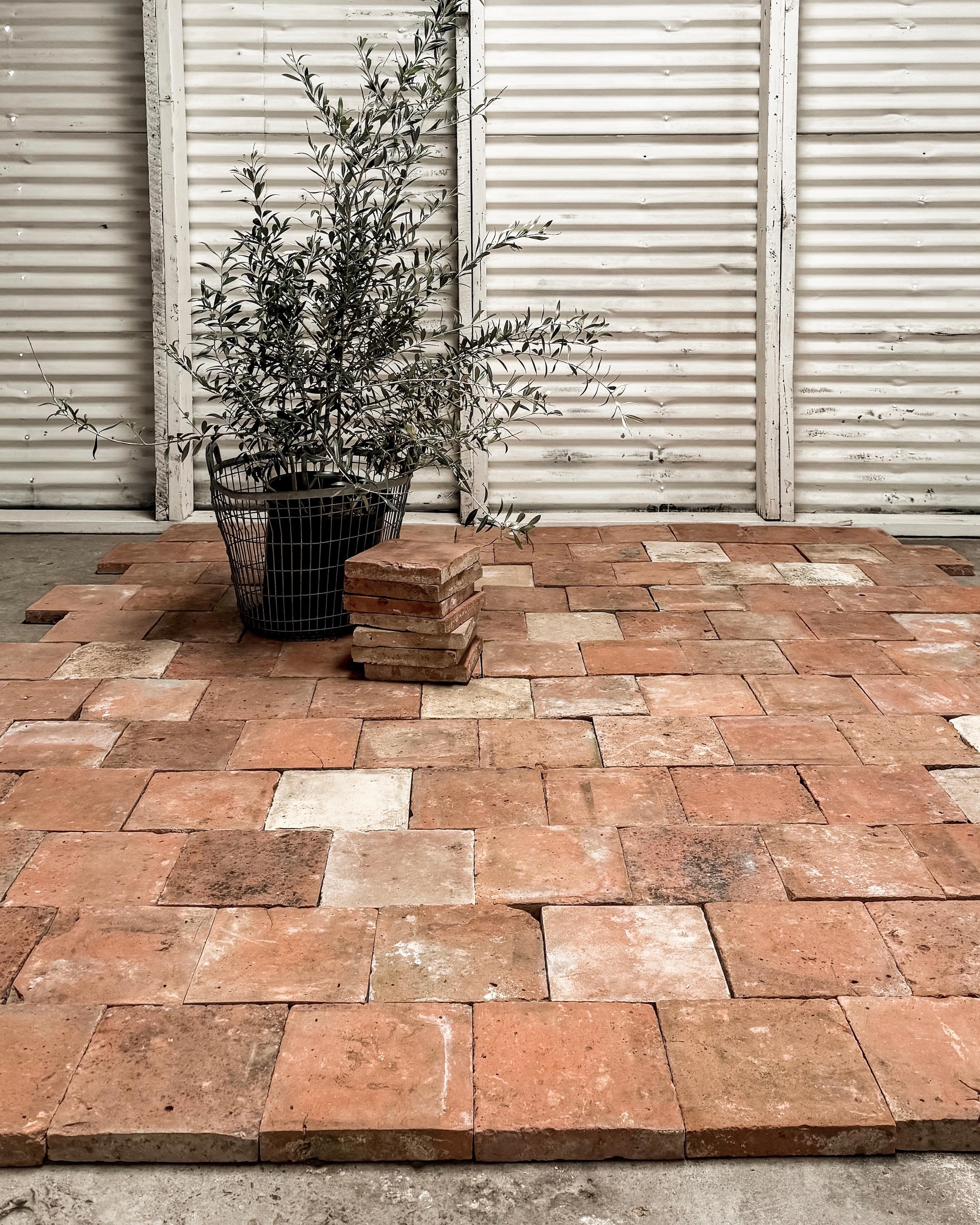 Realizzate a mano e cotte a legna secoli fa, queste piastrelle in terracotta francese di recupero raccontano una storia unica. Resistenti e progettati per la pavimentazione, possono sopportare aree ad alto traffico se adeguatamente sigillati e
