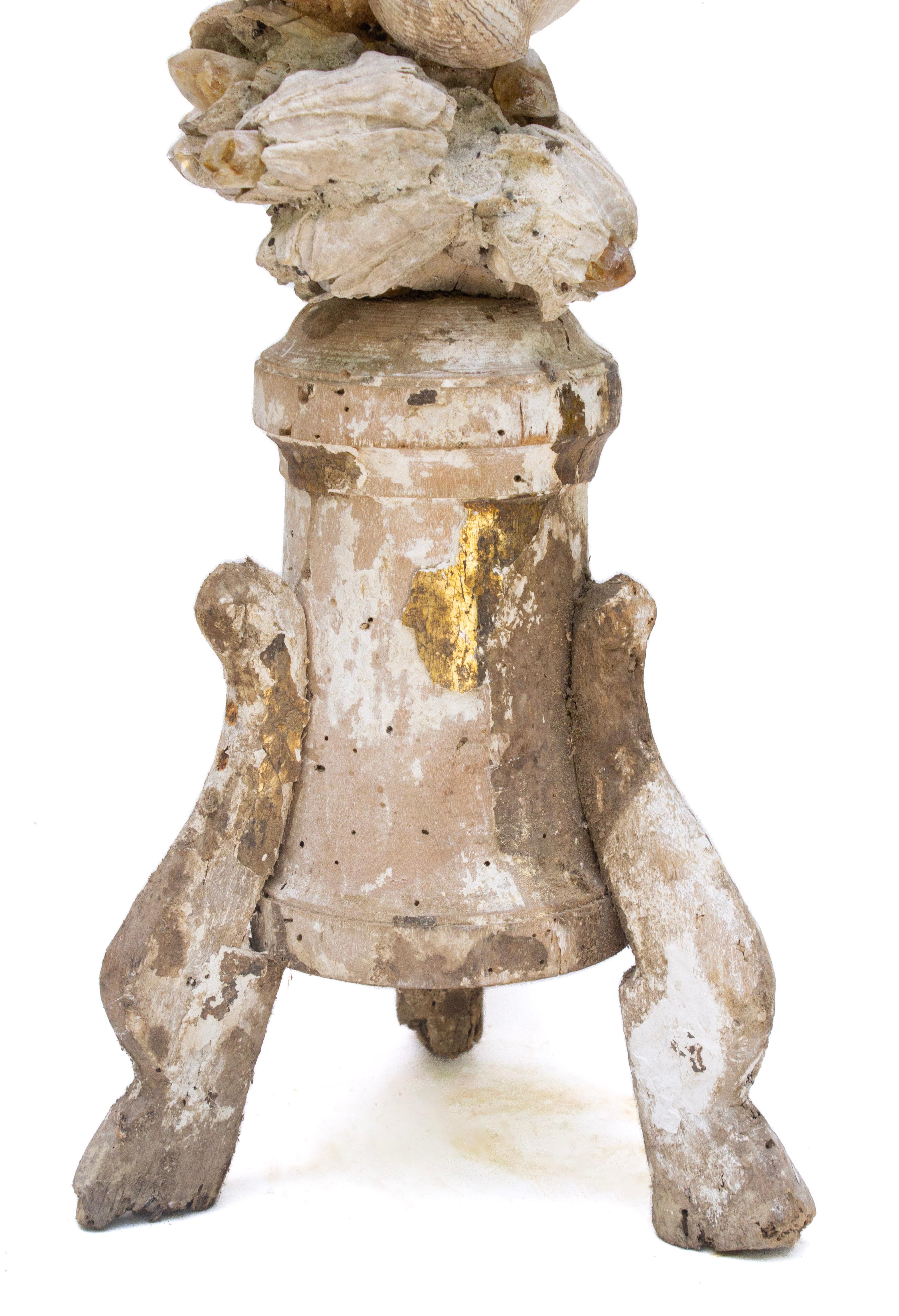Hand-Carved 18th Century Rococo Italian 'Florence Fragment' with Fossil Shells and Barnacles For Sale