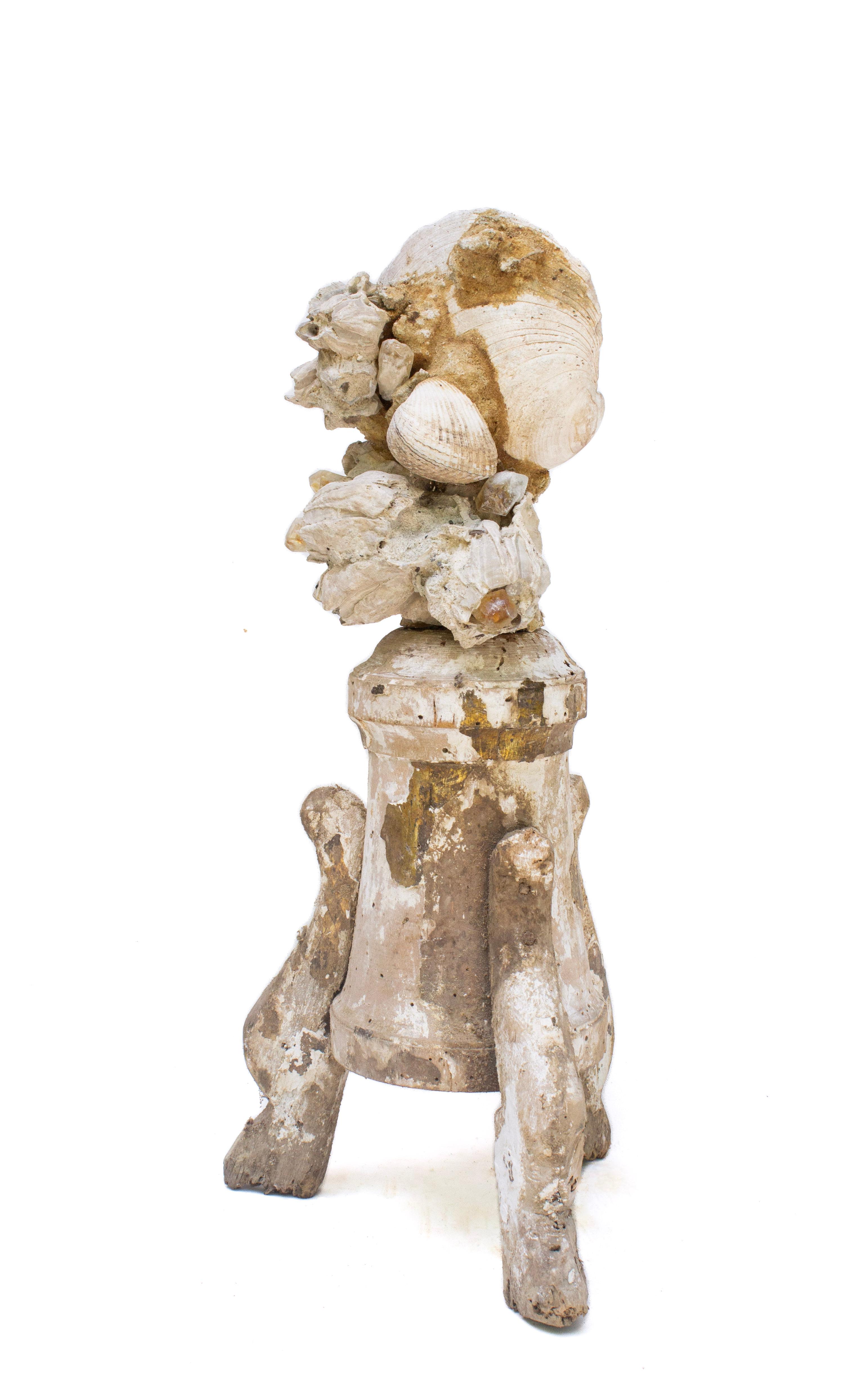 18th Century Rococo Italian 'Florence Fragment' with Fossil Shells and Barnacles In Distressed Condition For Sale In Dublin, Dalkey