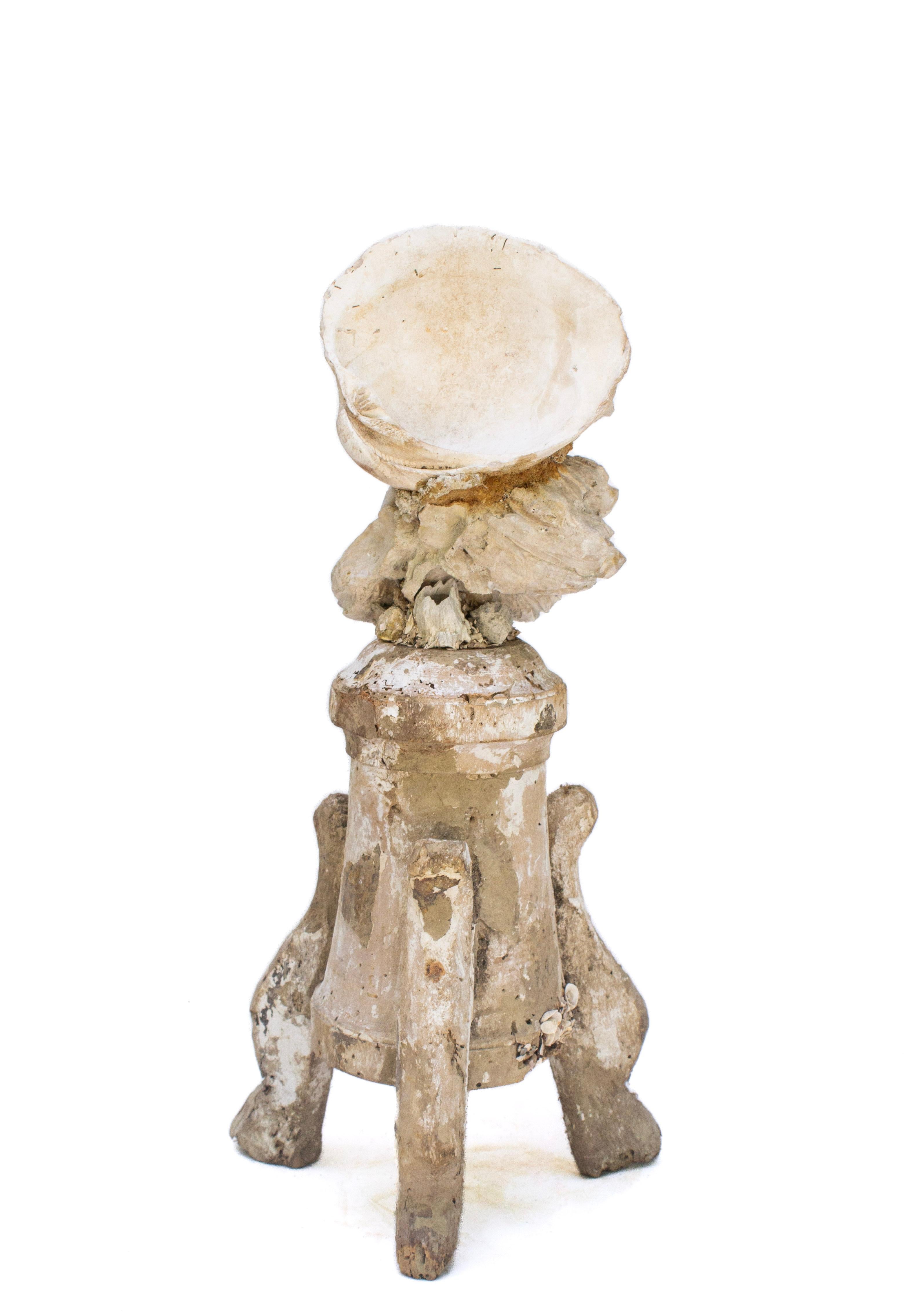 Rock Crystal 18th Century Rococo Italian 'Florence Fragment' with Fossil Shells and Barnacles For Sale