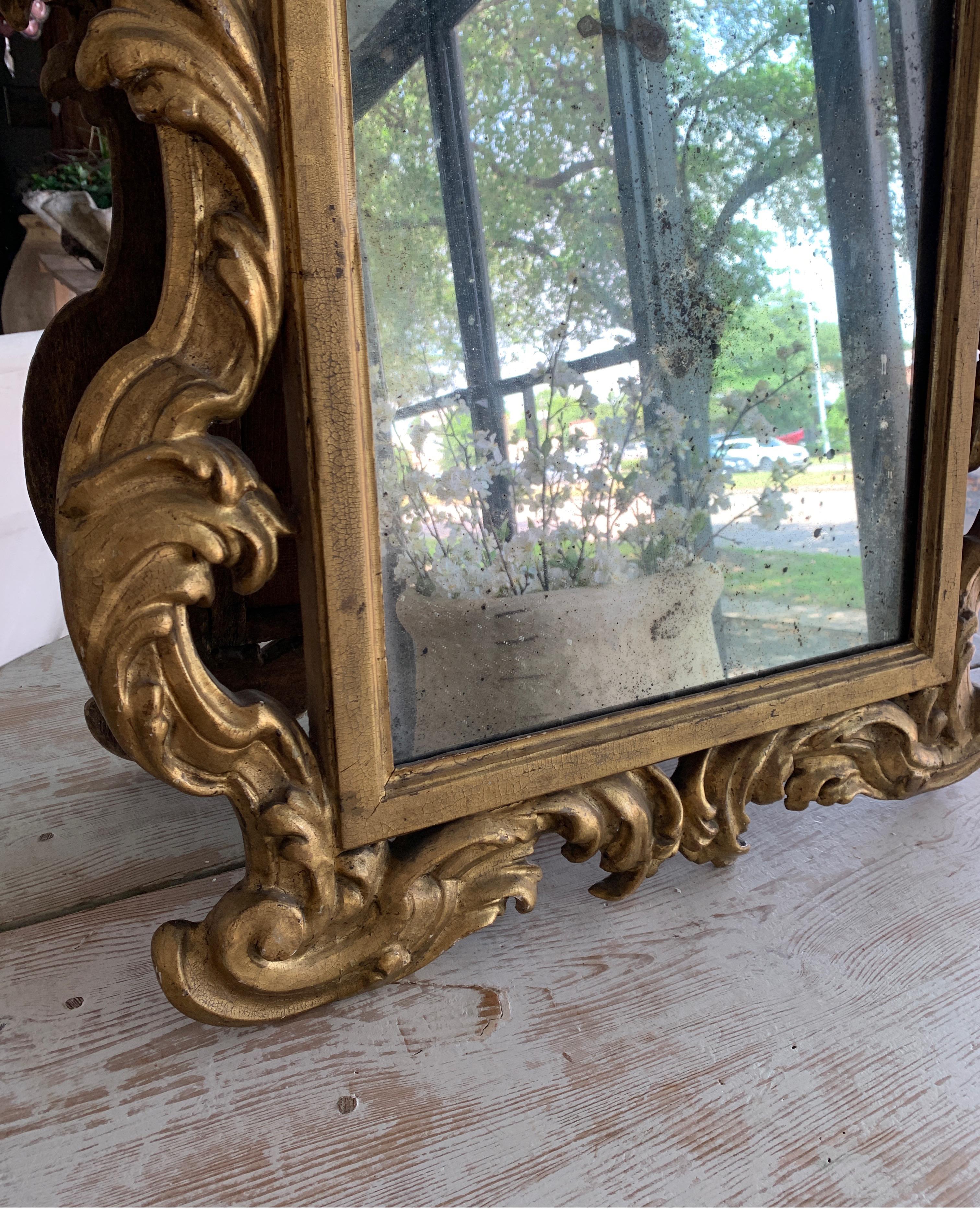 18th Century Rococo Italian Hand Carved Gilt Pair Of Mirrors For Sale 7