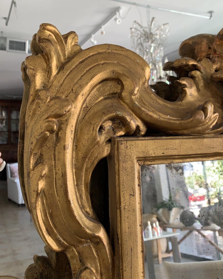 18th Century Rococo Italian Hand Carved Gilt Pair Of Mirrors For Sale ...