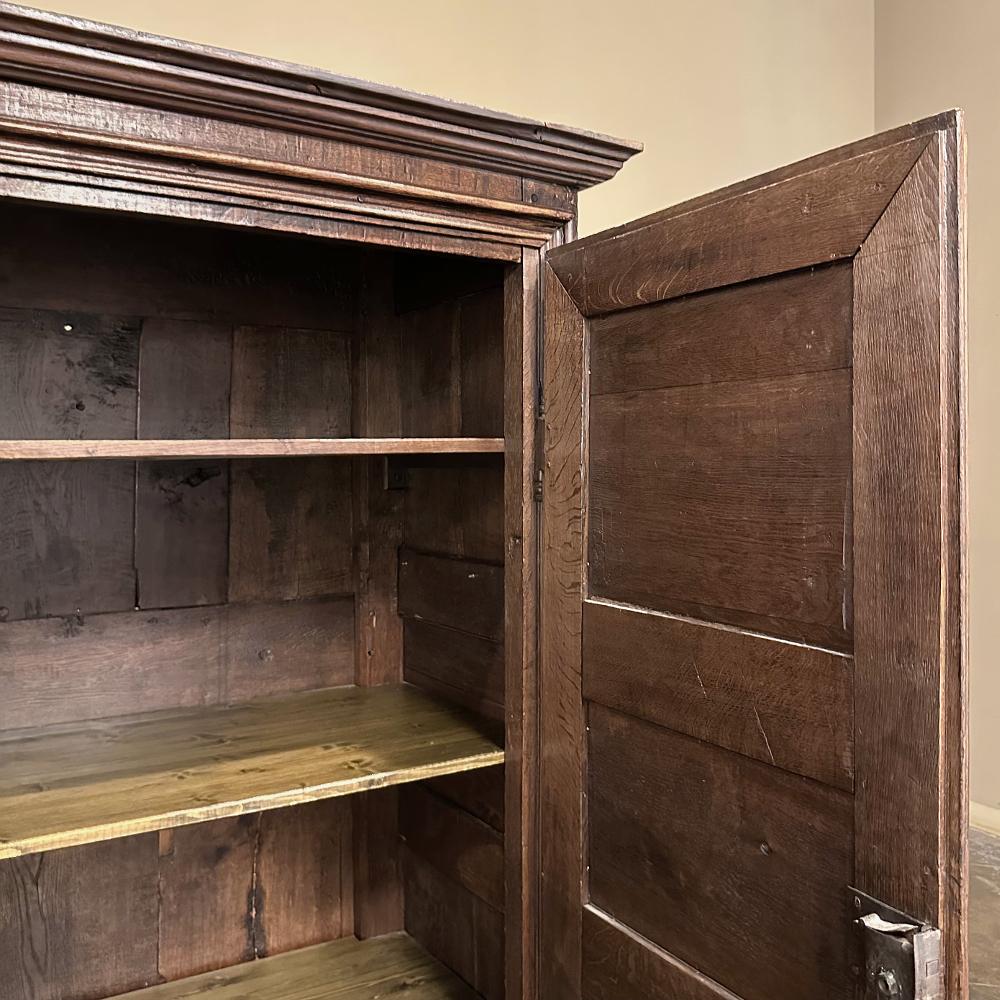 Armoire rustico francese in Oak del XVIII secolo in vendita 7