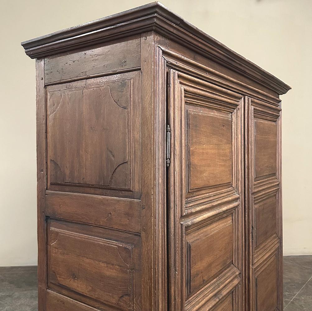 Armoire rustico francese in Oak del XVIII secolo in vendita 2