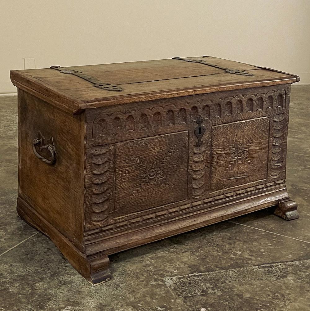Late 18th Century 18th Century Rustic Dutch Trunk For Sale