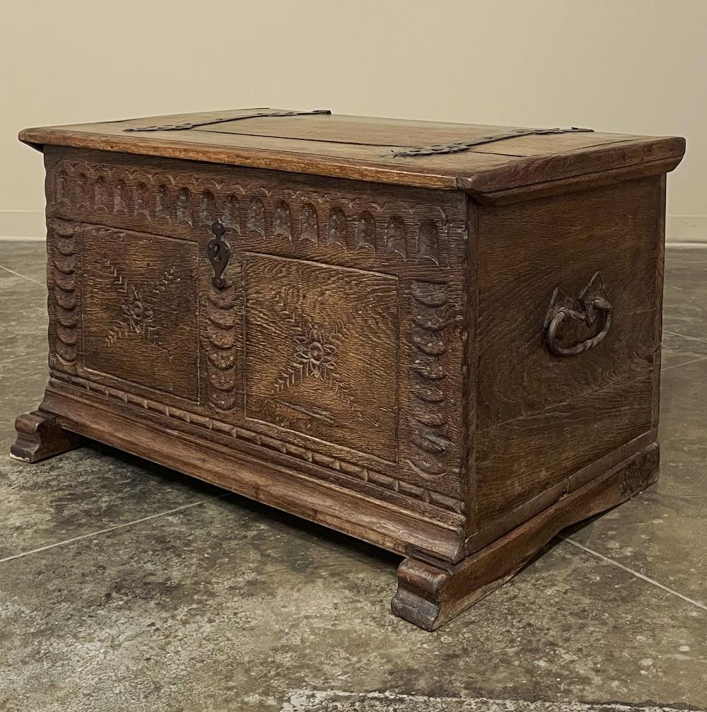 Wrought Iron 18th Century Rustic Dutch Trunk For Sale