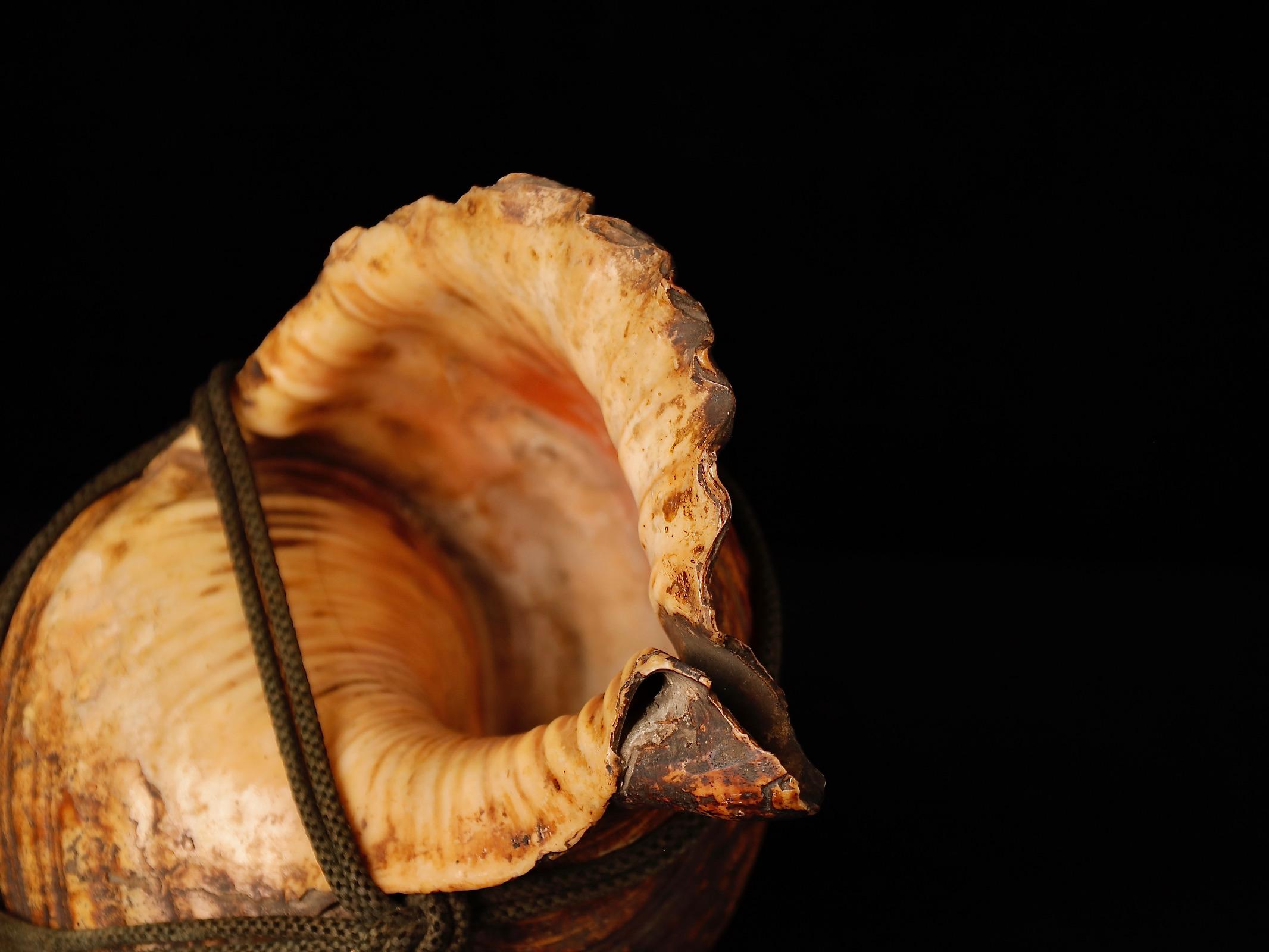 18th Century Samurai Signal Conch with Brass Mouthpiece 9