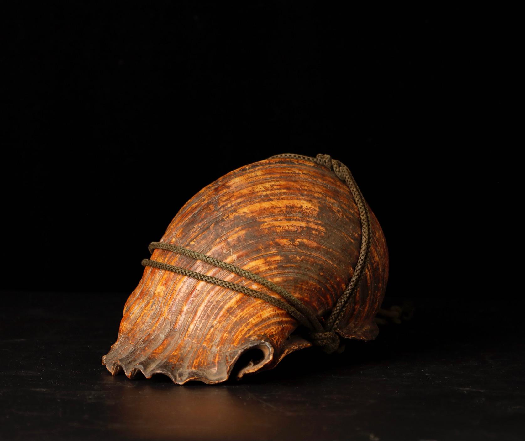 18th Century Samurai Signal Conch with Brass Mouthpiece In Good Condition For Sale In Fukuoka, JP