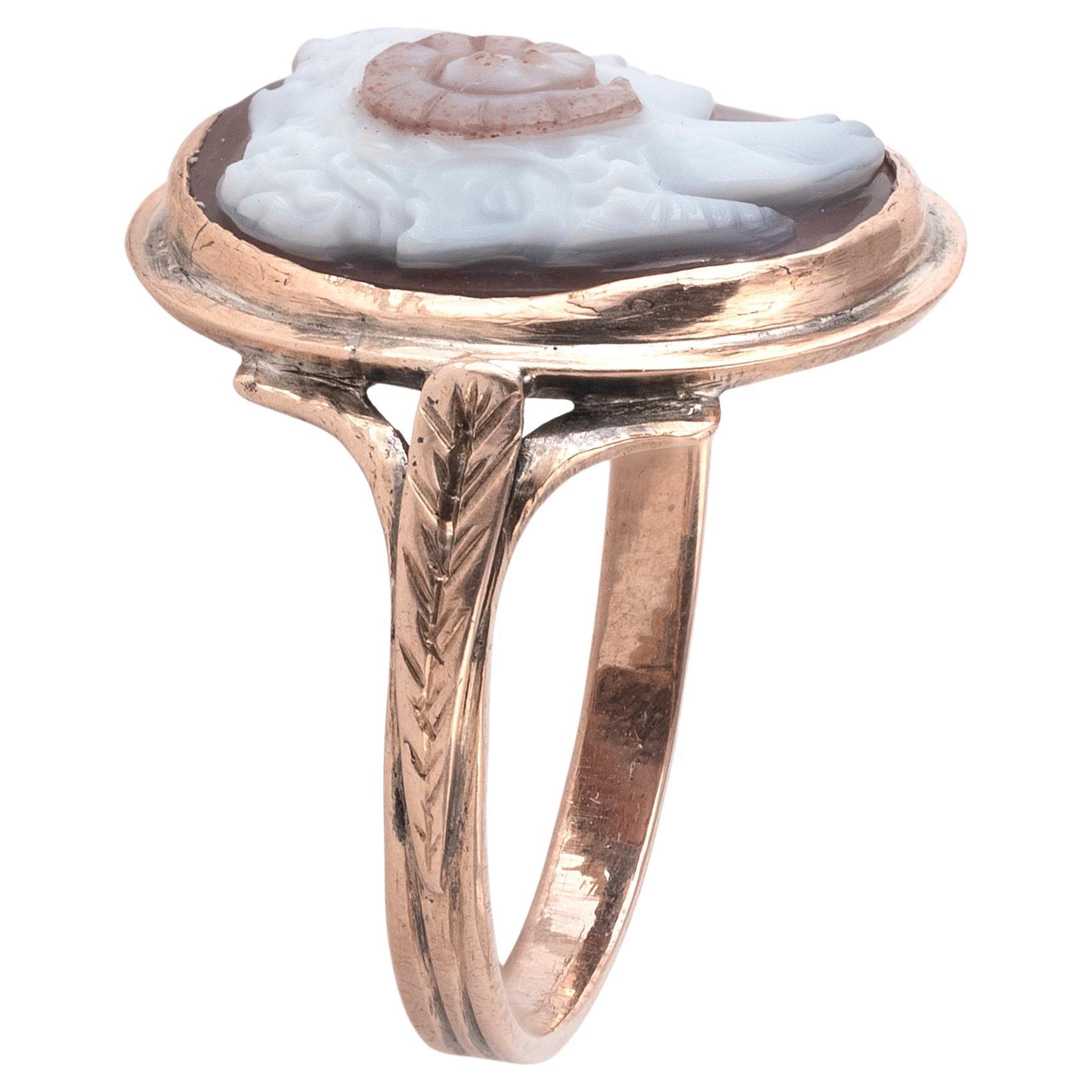 Uncut 18th Century Sardonyx Cameo Depicting a Gryllus For Sale