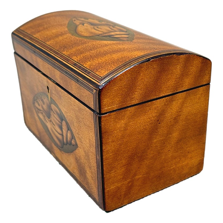 A Charming Late 18th Century Satinwood tea caddy, Having Attractive Conch Shell Inlaid Decoration To Front And Domed Top, Enclosing Double Lidded Interior.


This attractive satinwood tea caddy, which dates to the sheraton period at end of the