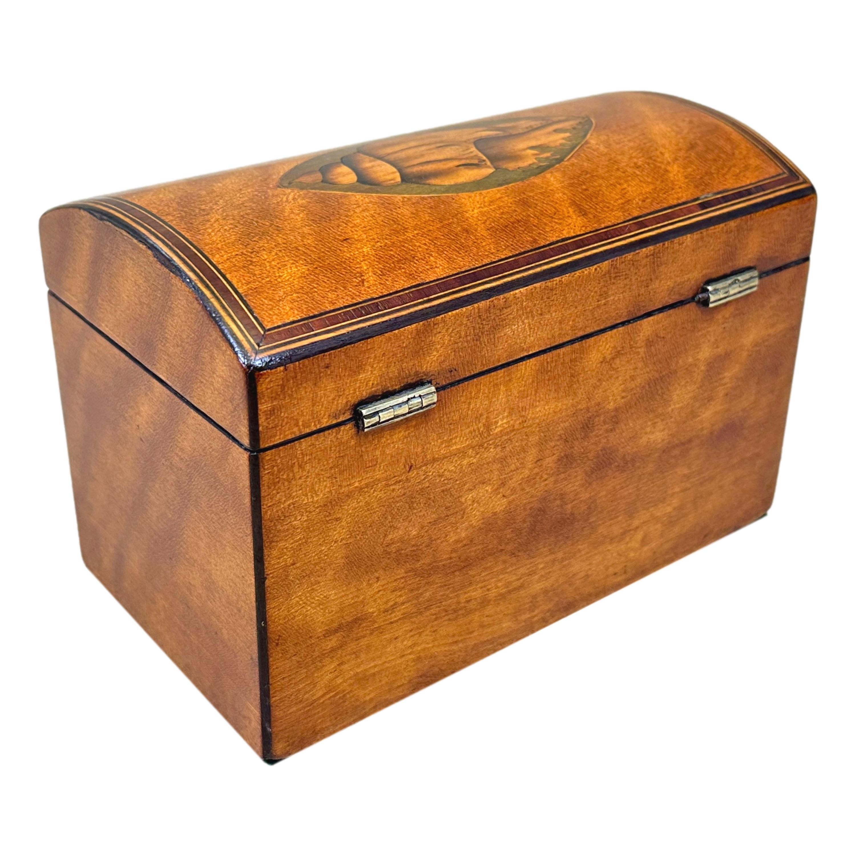 18th Century Satinwood Domed Tea Caddy For Sale 1