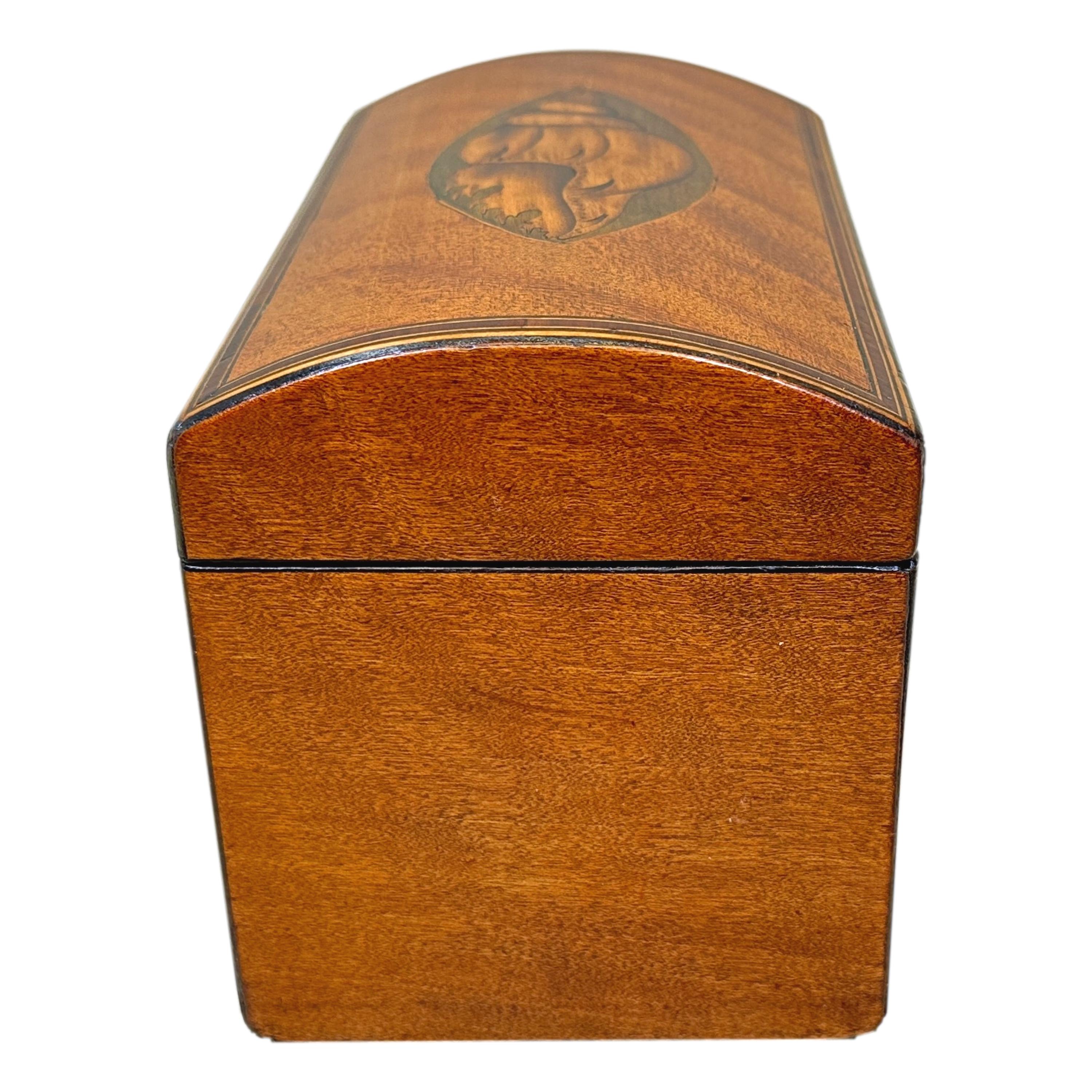 18th Century Satinwood Domed Tea Caddy For Sale 4
