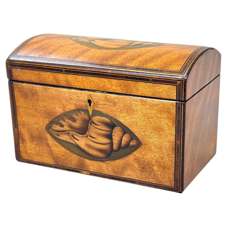 18th Century Satinwood Domed Tea Caddy For Sale