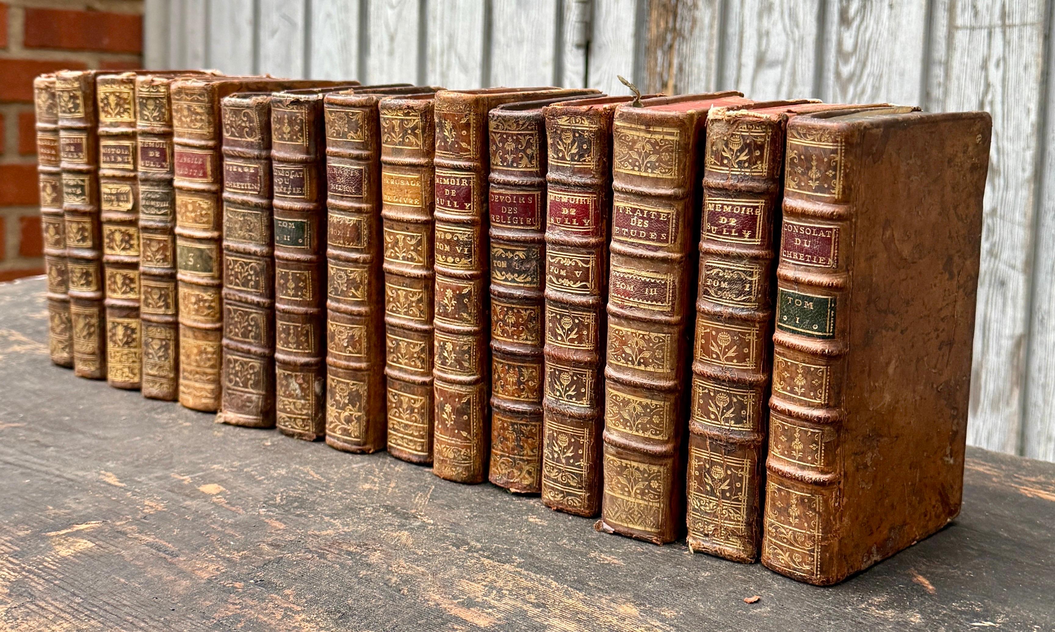 Un rare ensemble de 15 livres de bibliothèque français en cuir ancien et décoratif. Les livres sont enveloppés de cuir sur tout le pourtour et se composent d'une sélection de tons chauds avec un gaufrage en feuilles d'or. Compte tenu du fait que