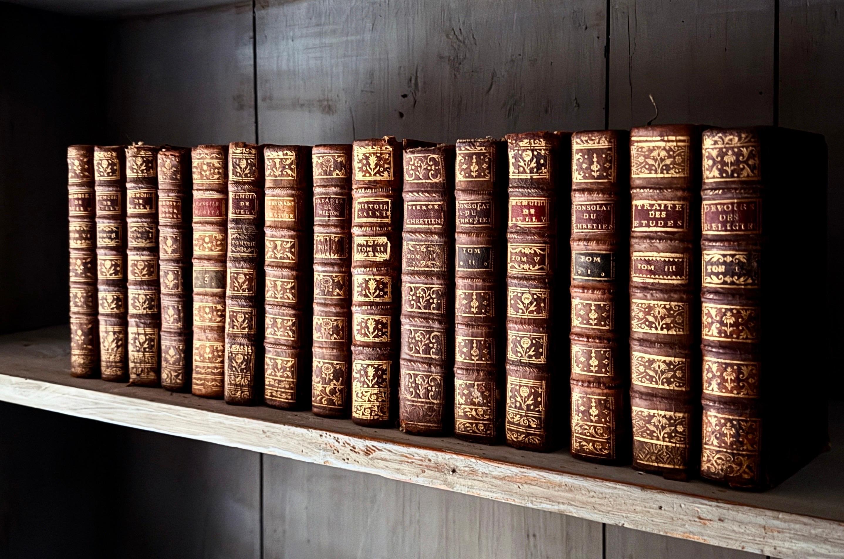 XVIIIe siècle et antérieur 18th Century Set of 15 French Leather Bound Books en vente