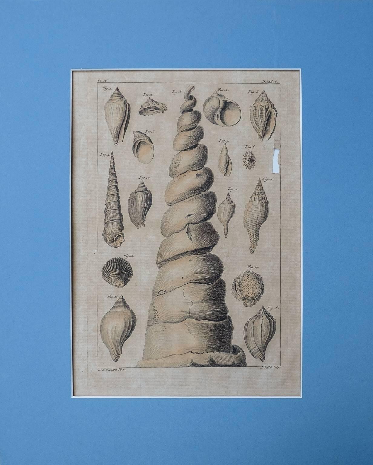 18th Century Set of Ten Hand-Colored Illustrations of Minerals by Joseph Buchoz For Sale 4