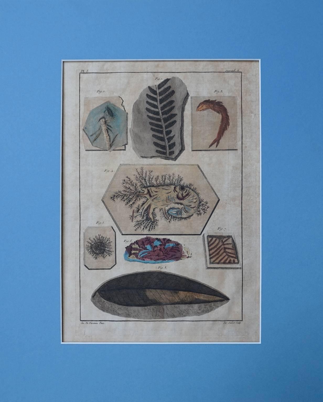 Complete set of ten paper hand-colored illustrations from Premiere Centurie de Planches Enluminees et Non Enluminees (Decade 6 Regne Mineral) by Pierre Joseph Buchoz, Paris and Amsterdam 1775-1781, all with contemporary hand colouring. 
The paper