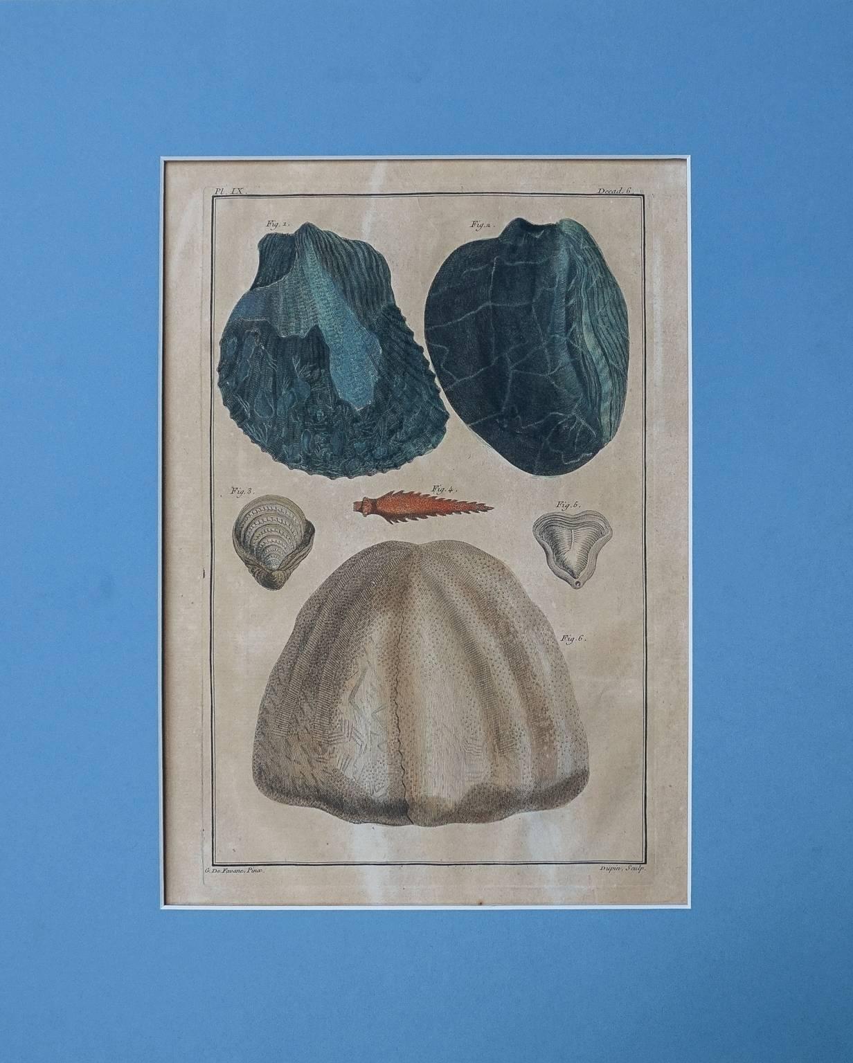18th Century Set of Ten Hand-Colored Illustrations of Minerals by Joseph Buchoz For Sale 1