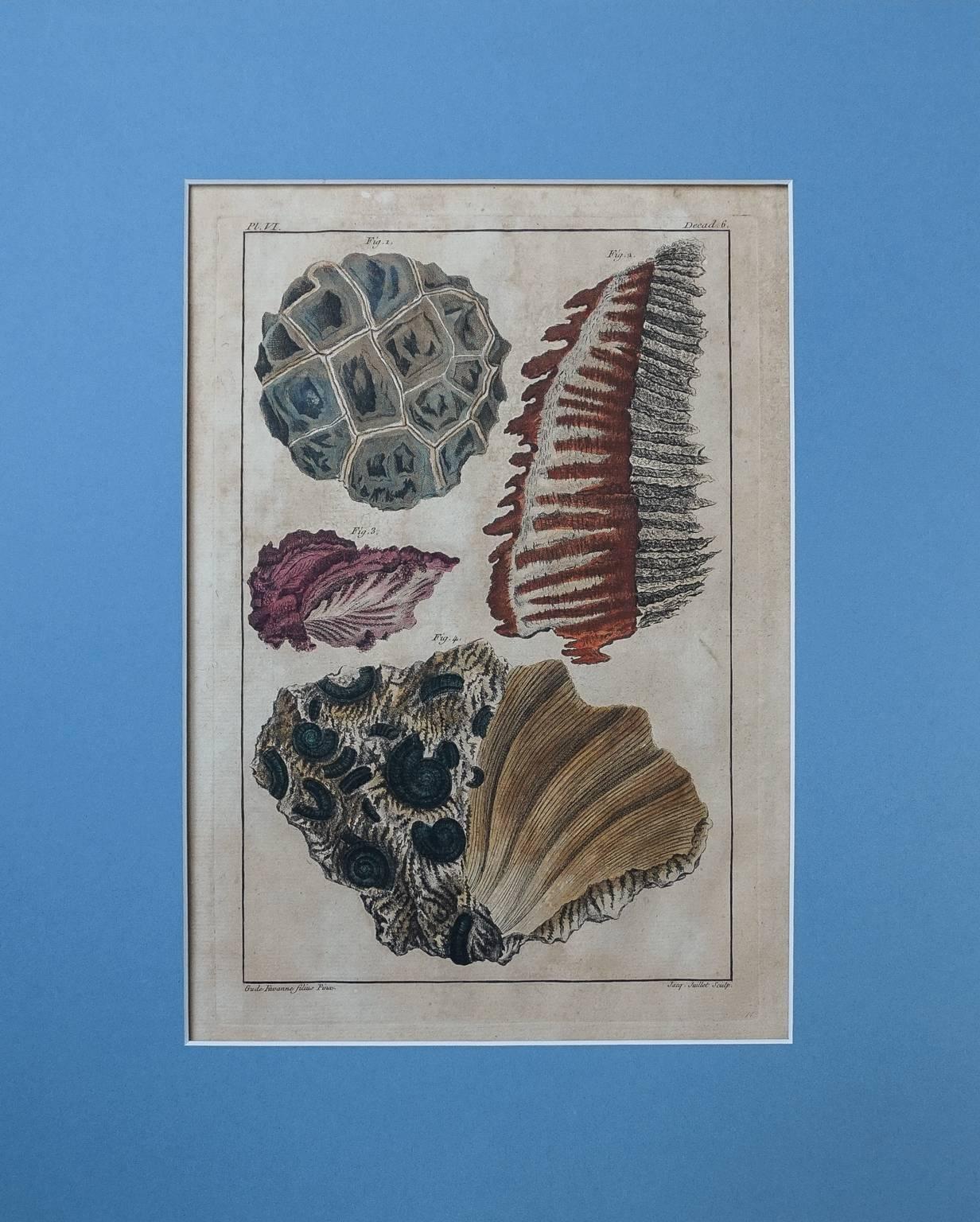 18th Century Set of Ten Hand-Colored Illustrations of Minerals by Joseph Buchoz For Sale 2