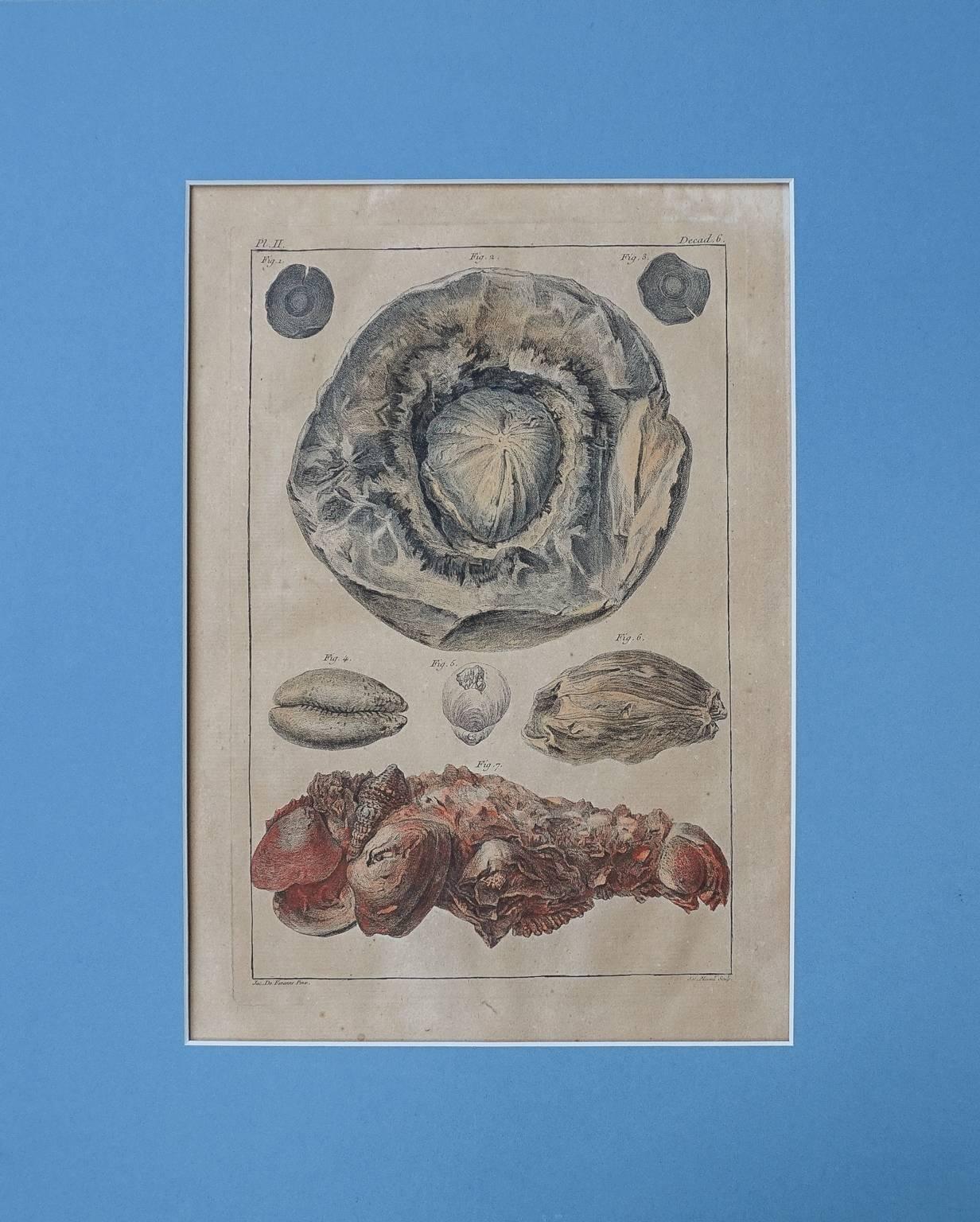 18th Century Set of Ten Hand-Colored Illustrations of Minerals by Joseph Buchoz For Sale 3