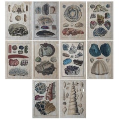 Set del XVIII secolo di dieci illustrazioni di minerali colorate a mano da Joseph Buchoz