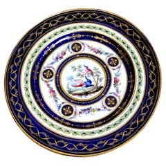 Sevres-Teller mit ornithologischem Muster aus dem 18. Jahrhundert, 1759-60  