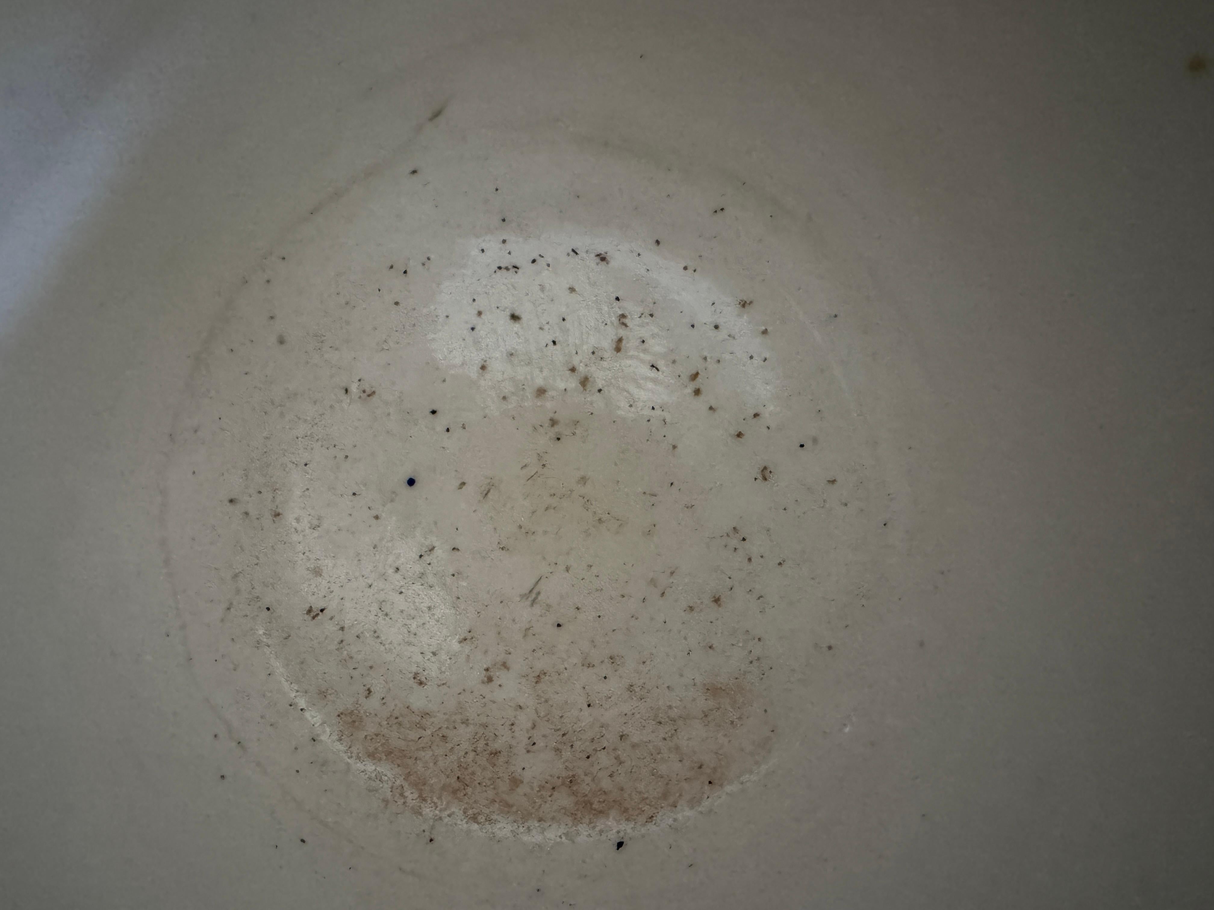 Seaux à bouteille en porcelaine de Sèvres du XVIIIe siècle en vente 6