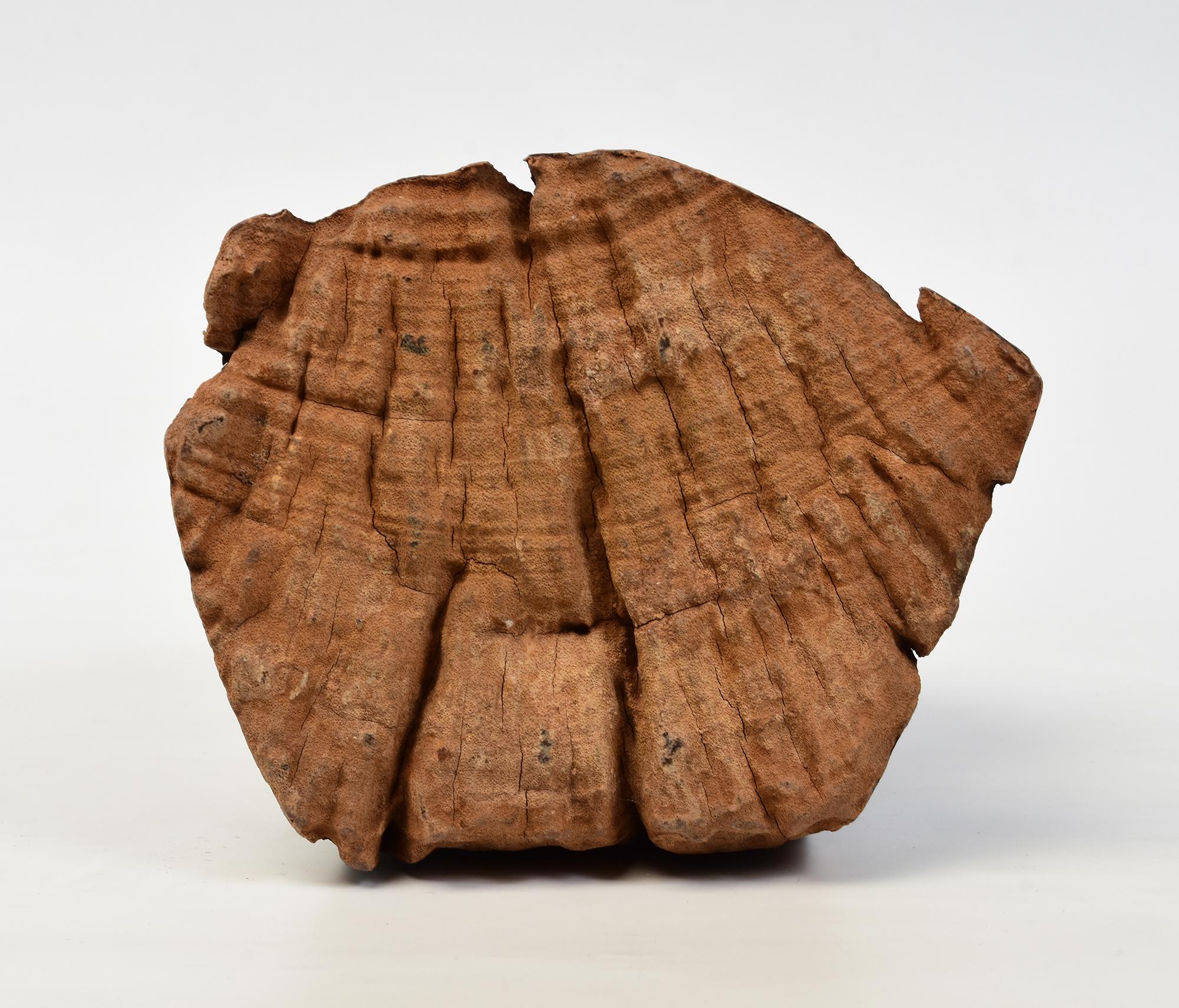 18. Jahrhundert, Shan, antiker burmesischer sitzender Buddha aus Holz 8
