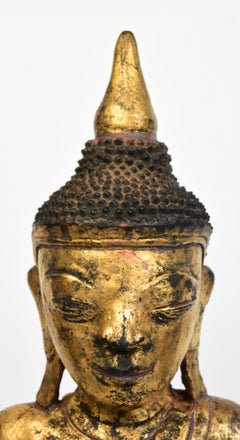 Bouddha assis en bois birman ancien Tai Yai du 18ème siècle, Shan