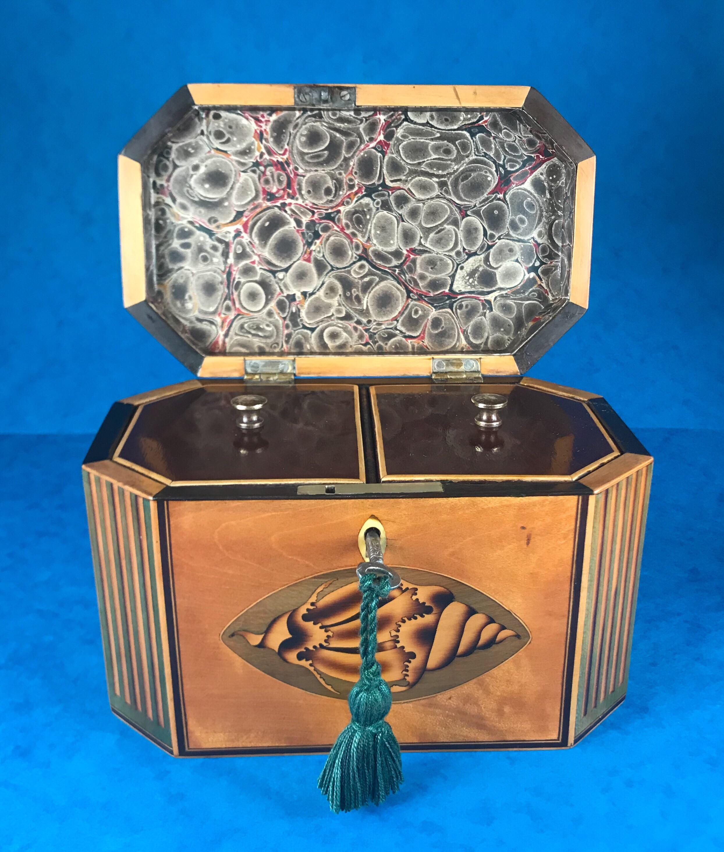 18th Century Sheraton 1790 Octagonal Shell Inlaid Twin Lidded Tea Caddy For Sale 2