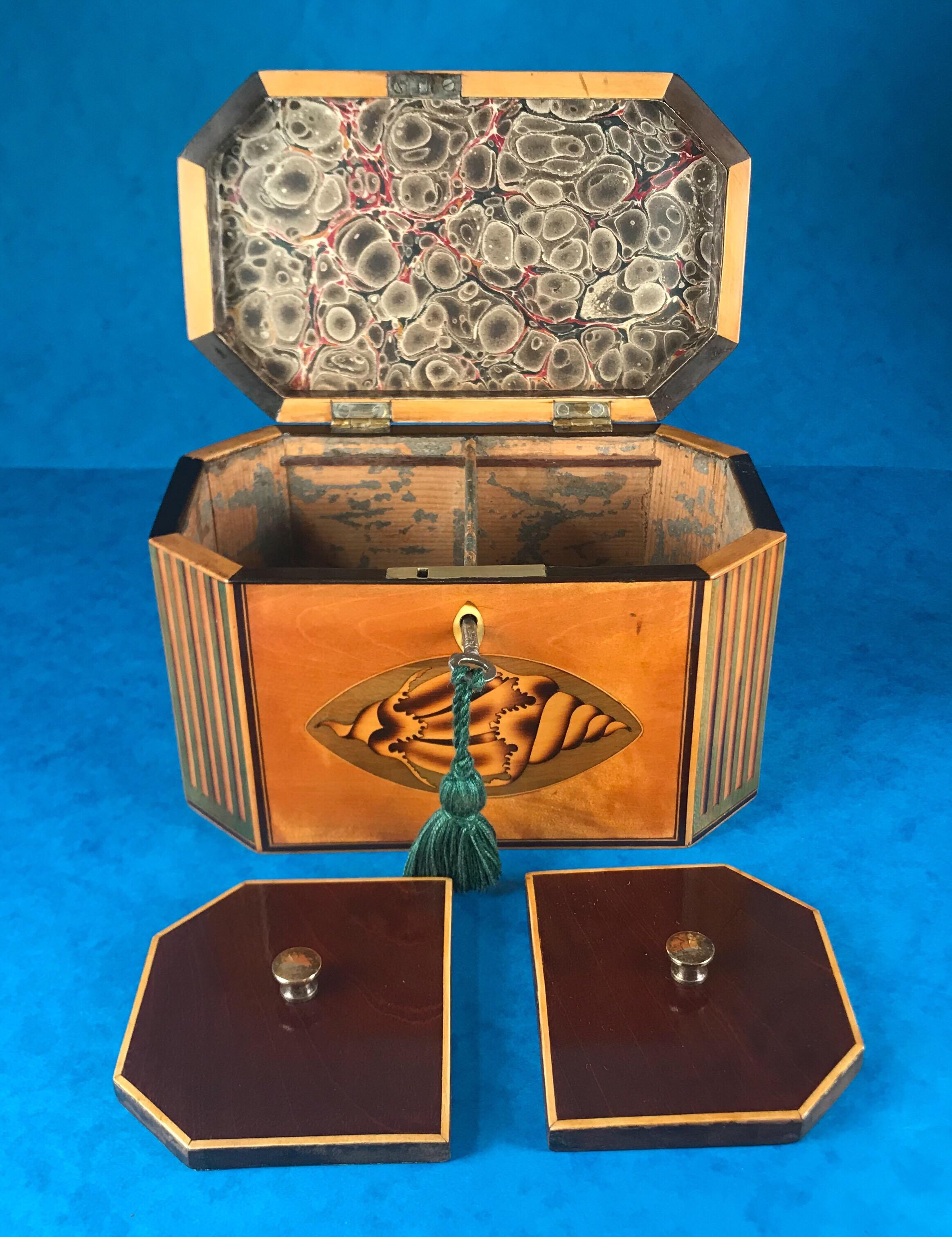 18th Century Sheraton 1790 Octagonal Shell Inlaid Twin Lidded Tea Caddy For Sale 4