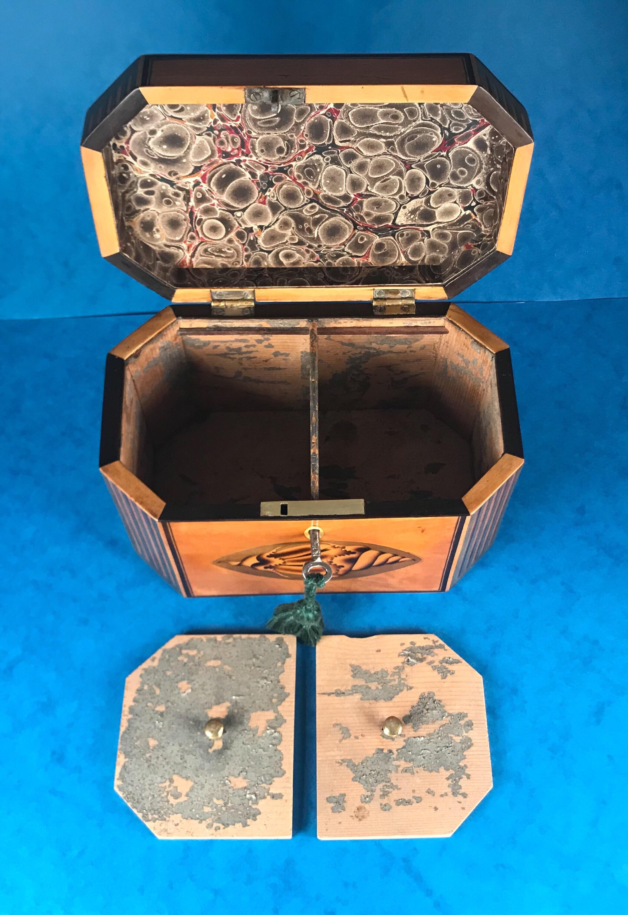 18th Century Sheraton 1790 Octagonal Shell Inlaid Twin Lidded Tea Caddy For Sale 6