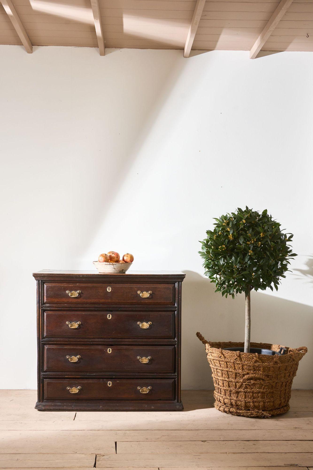18th century Solid oak chest of drawers in vendita 6